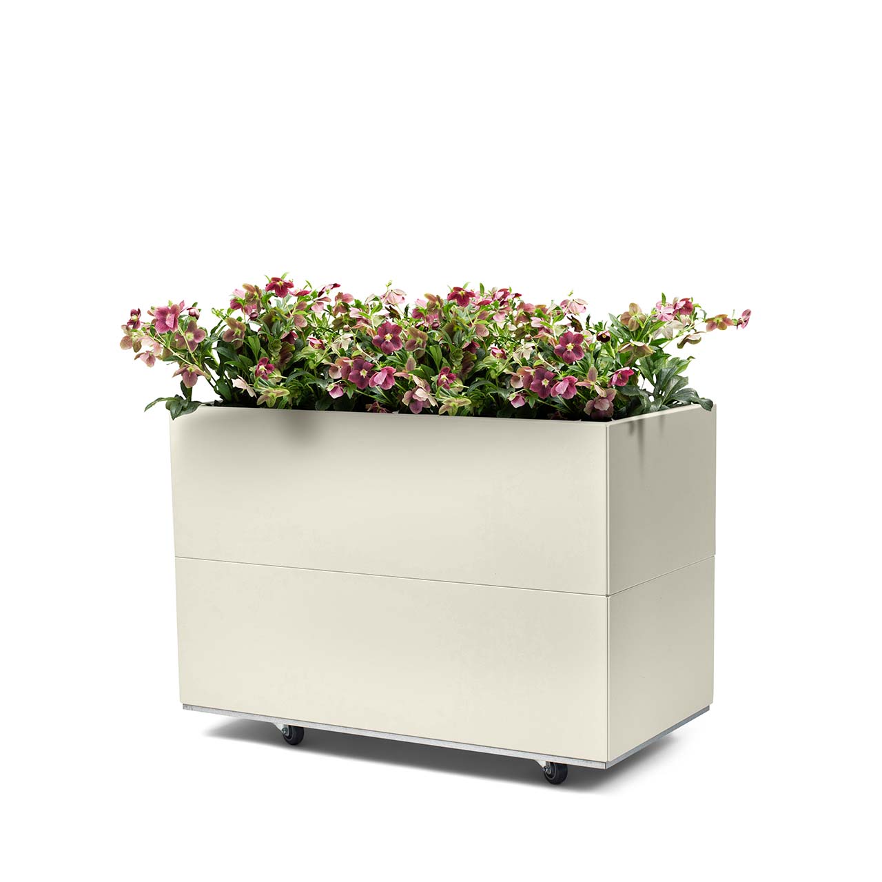 Bedd plantekasse 80x40x50