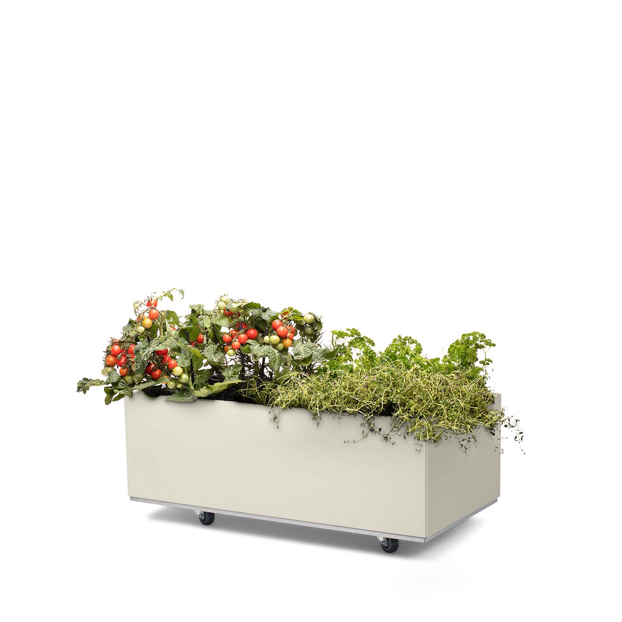 Bedd plantekasse 80x40x25 Kalk