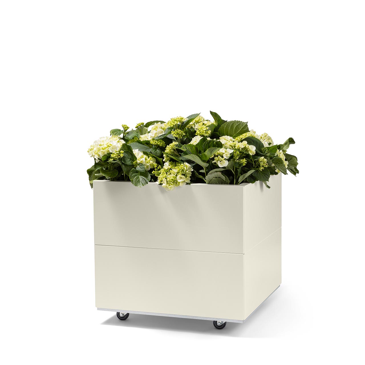 Bedd plantekasse 60x60x50 Kalk