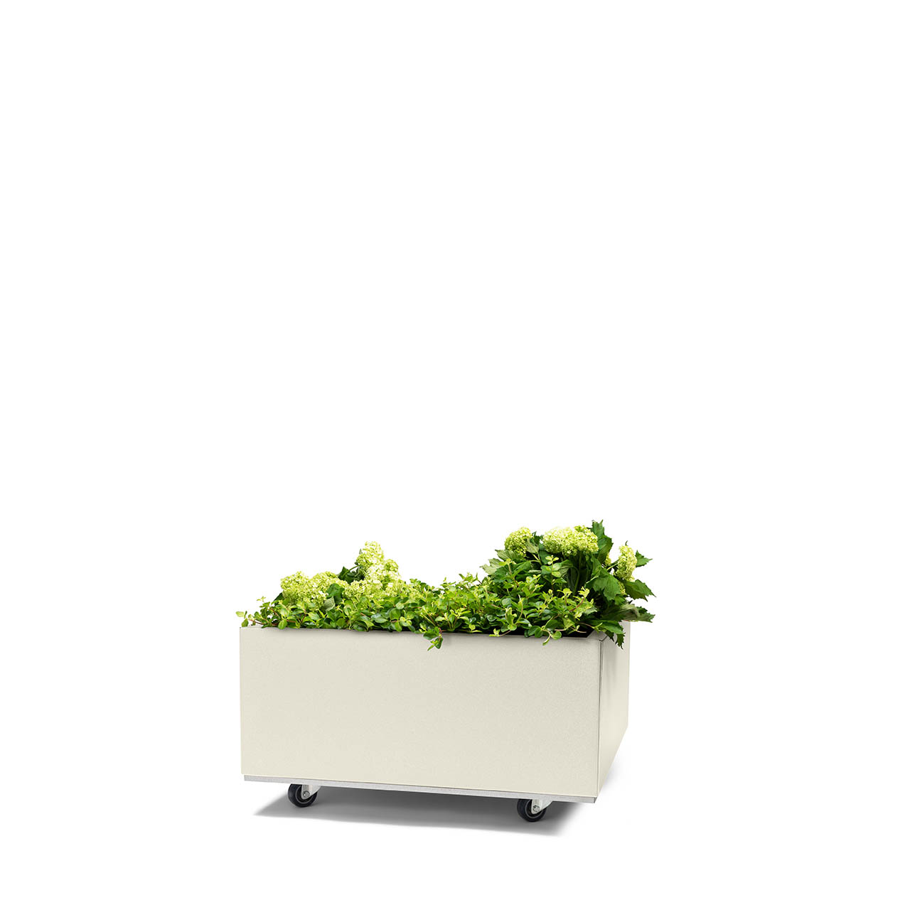 Bedd plantekasse 60x60x25 Kalk