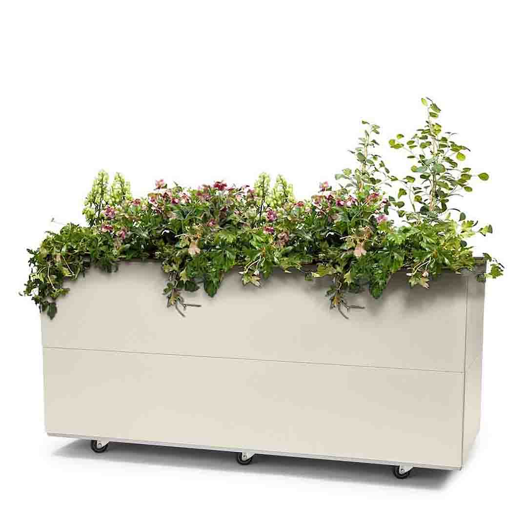 Bedd plantekasse 120x40x50 Kalk