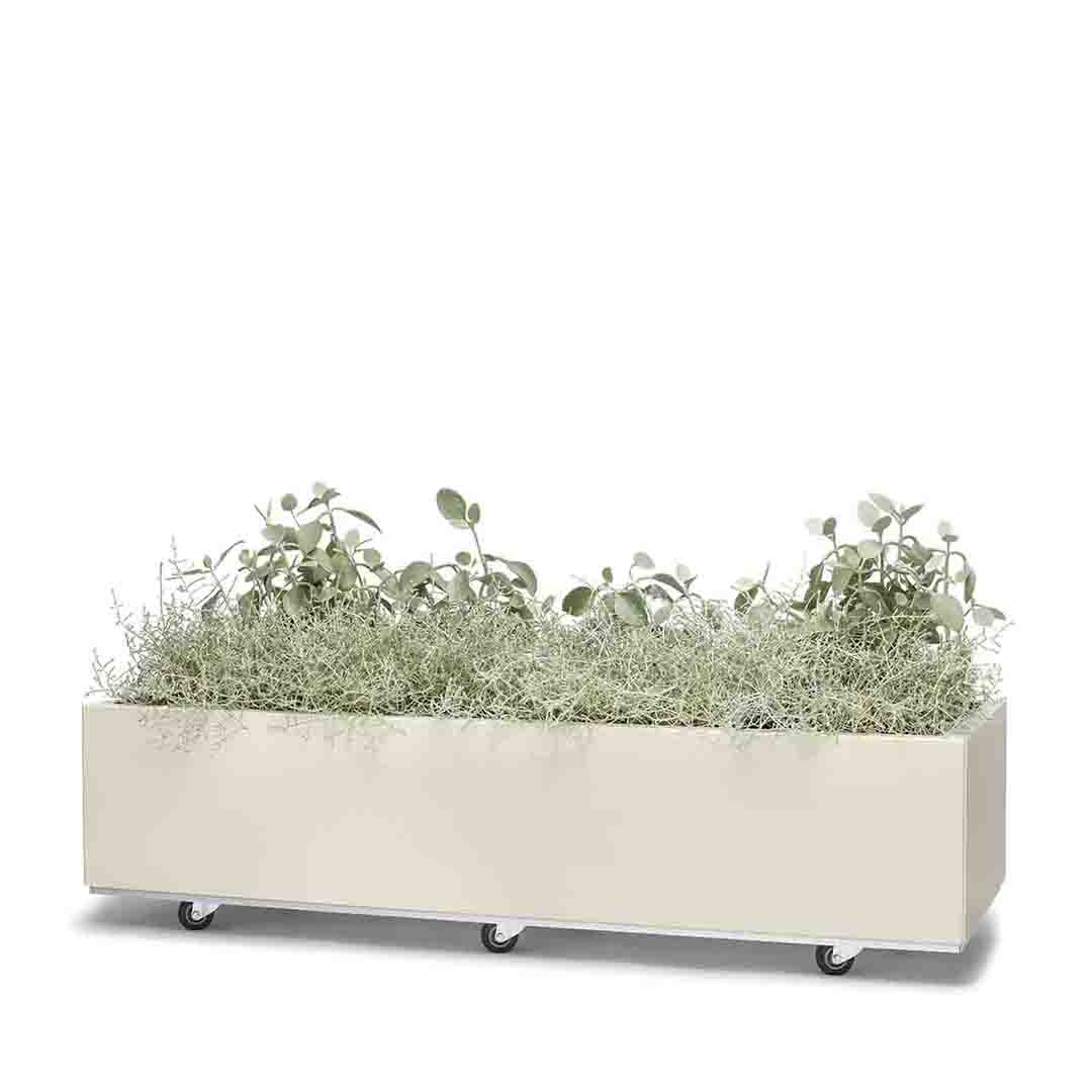 Bedd plankasse 10x40x25 Kalk