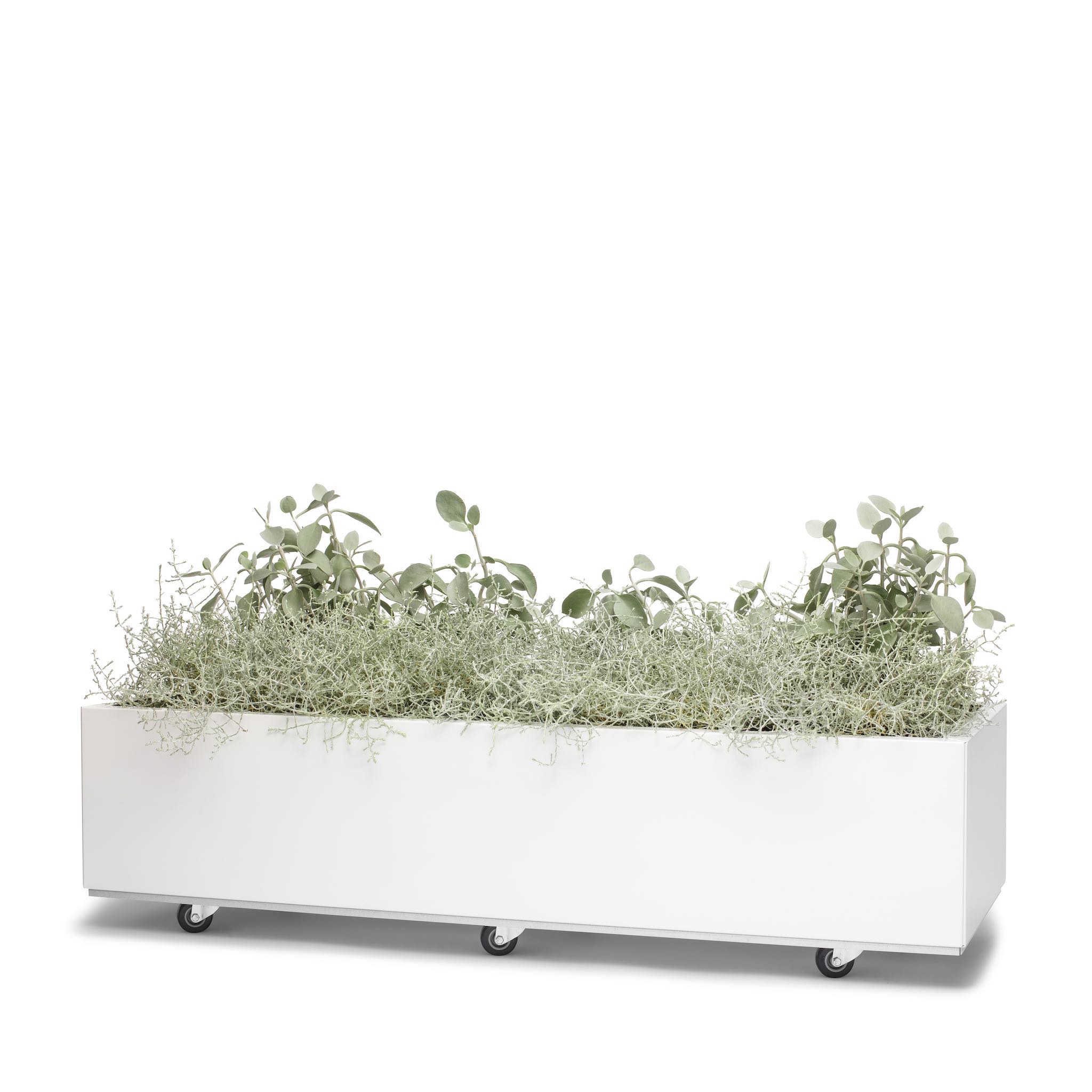 BEDD plantekasse 120x40xH25 cm hvit lakk