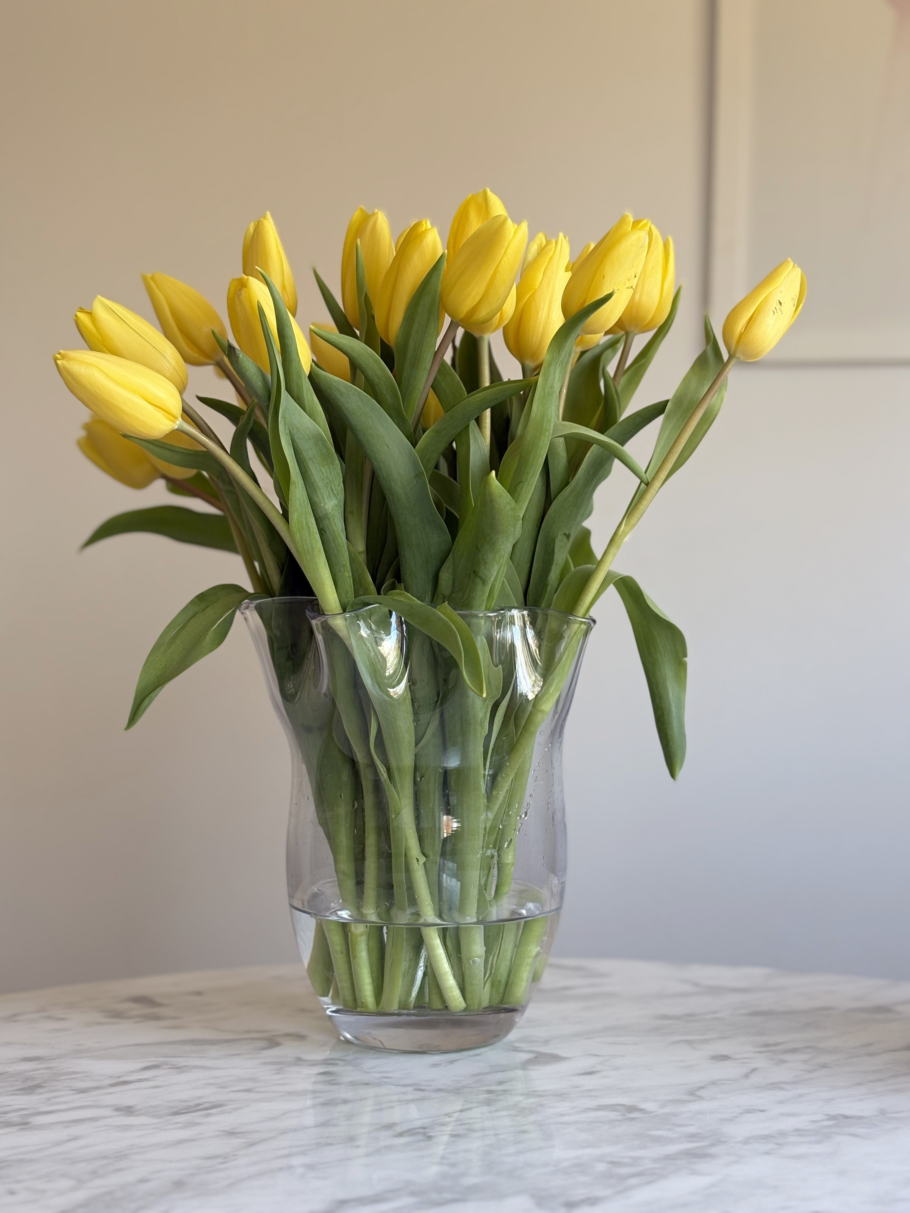 Tulipanvase i glass. Bukett med tulipaner med tilhørende glassvase til tulipaner.