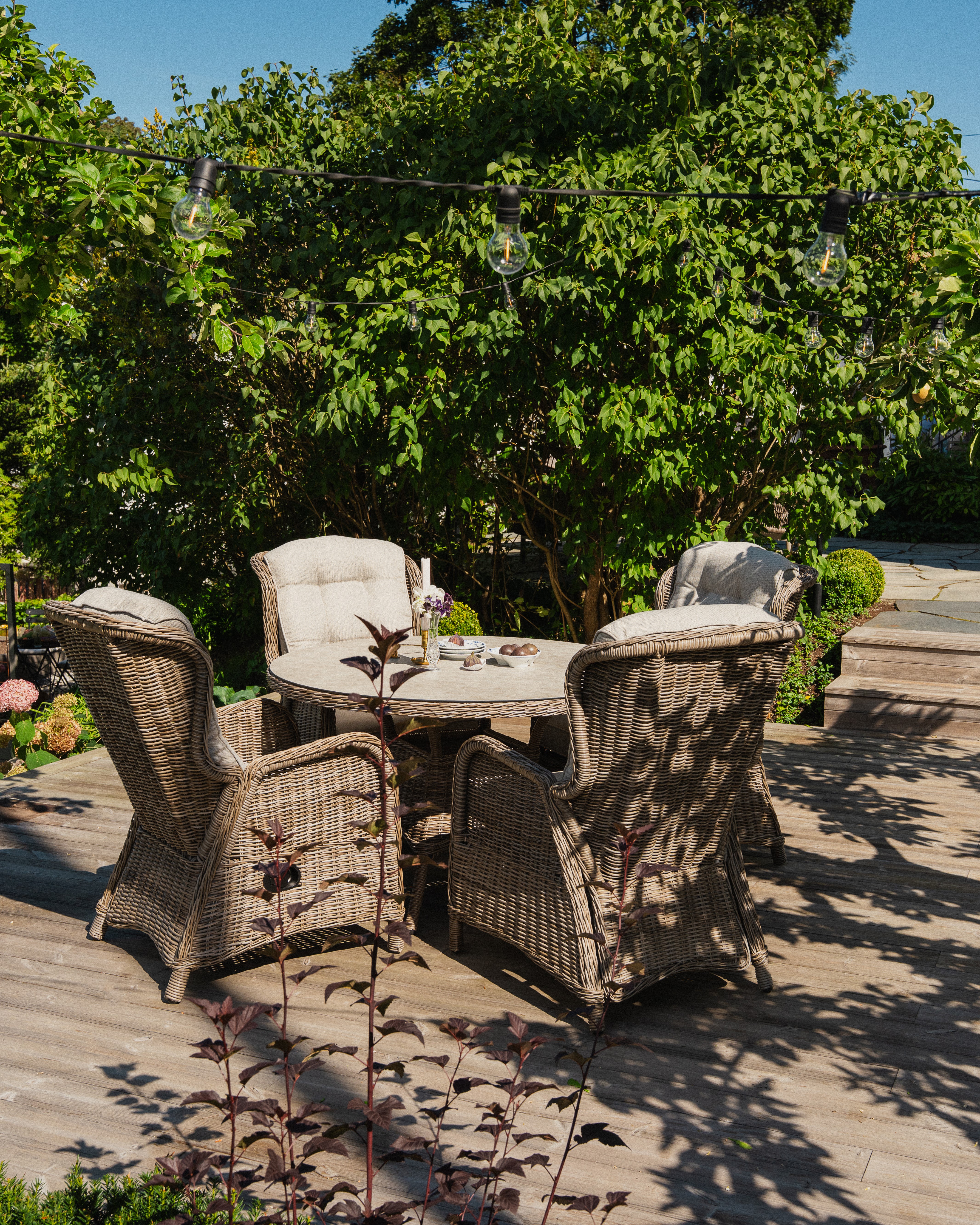 Haslev spisegruppe medium