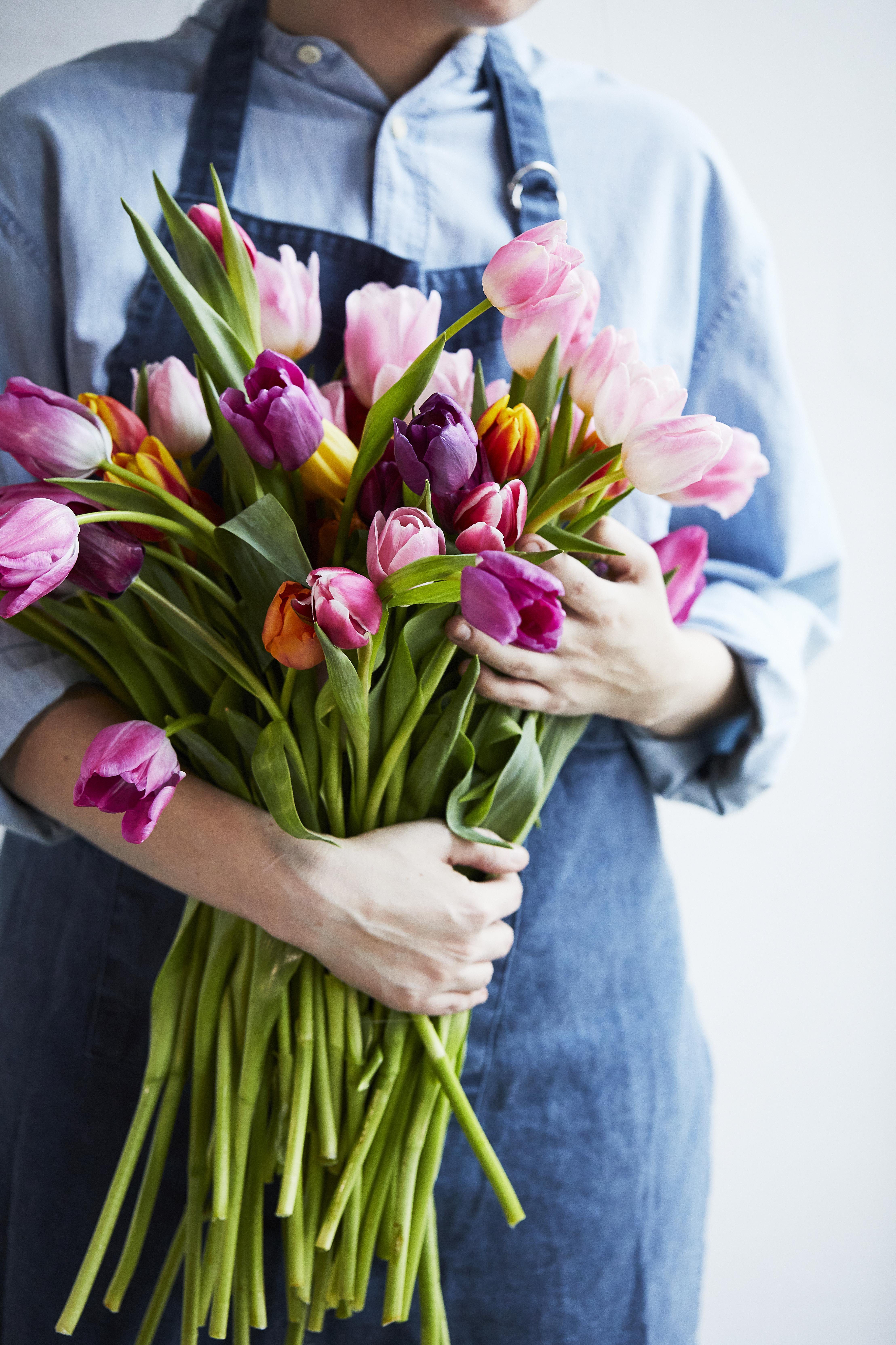 Riktig stell av tulipaner