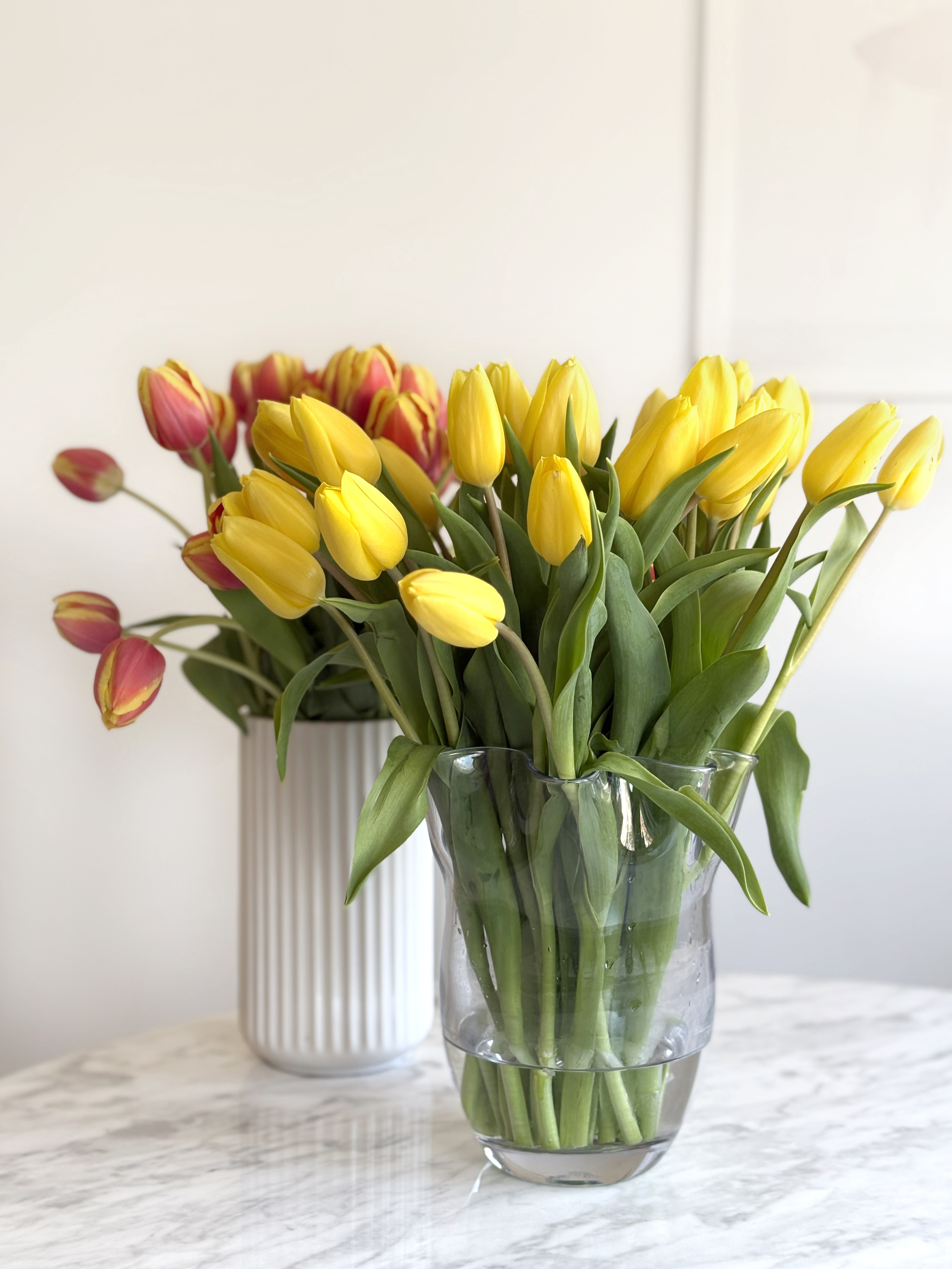 Tulipanvase med tulipaner i snitt