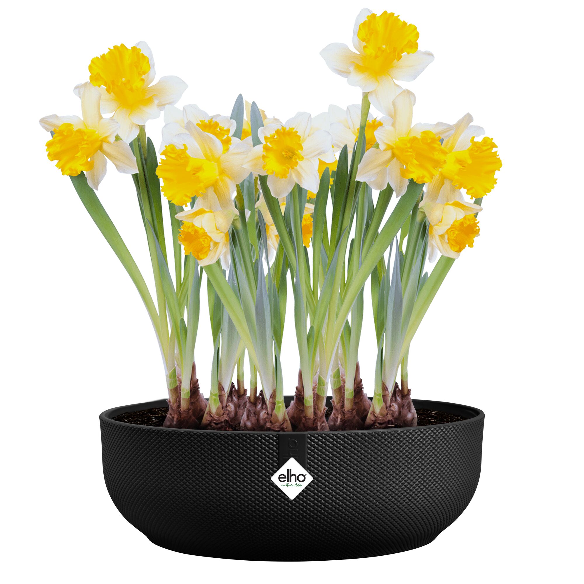 Jazz skål Ø28 cm svart