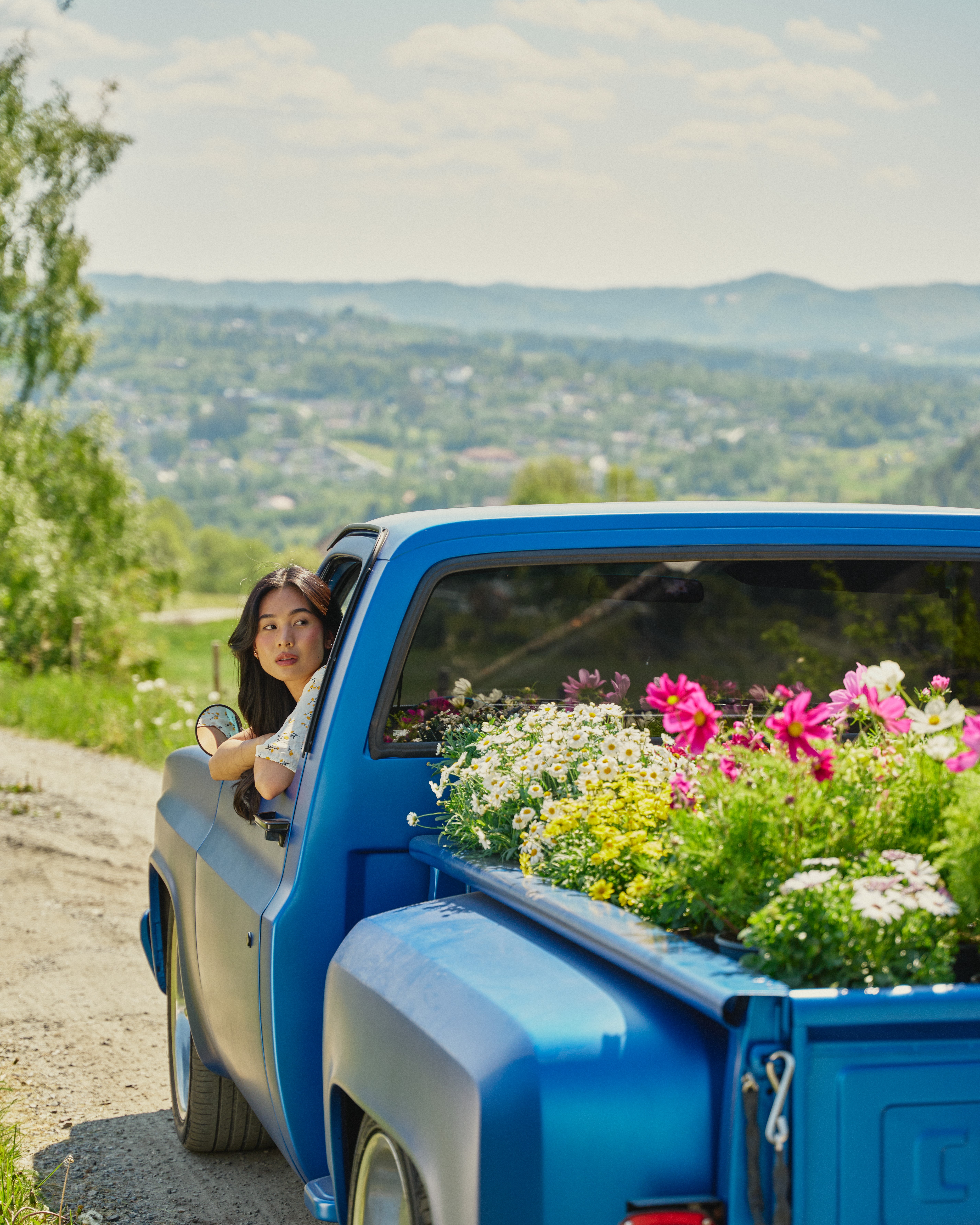 Hvite margeritter lastet på en blå bil