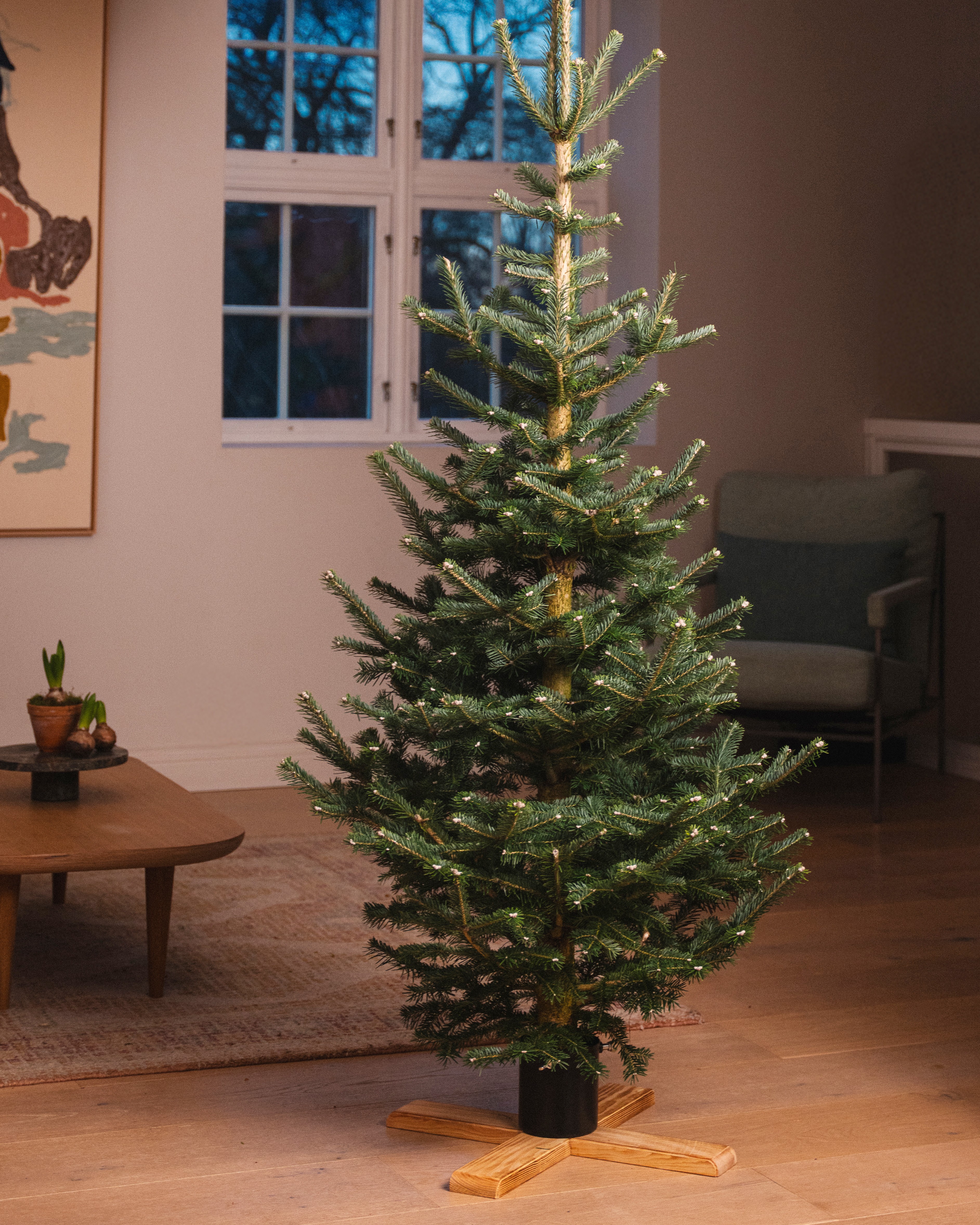 Juletrefot kryss Ø55 cm til ekte juletre