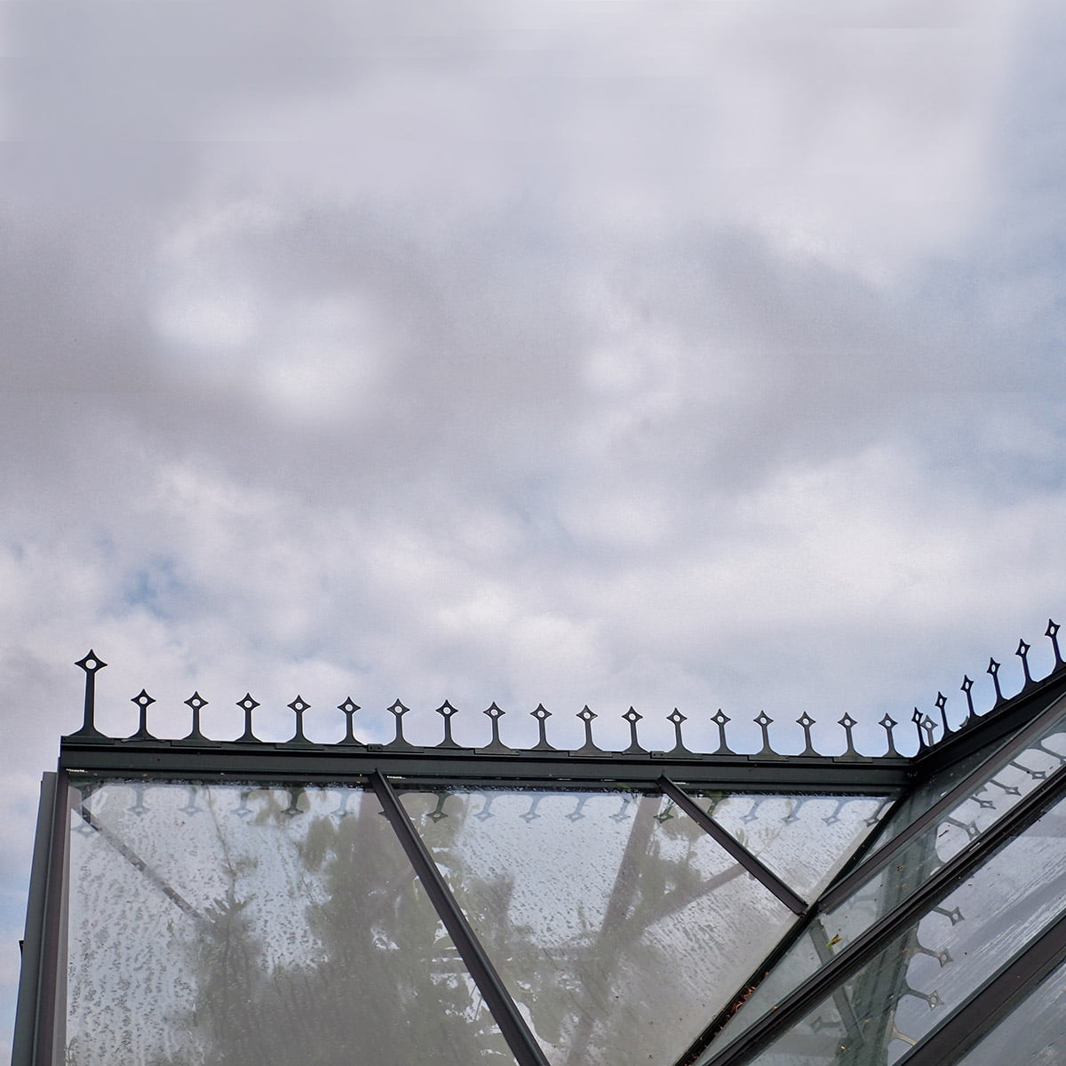 Cresting Sirius sort