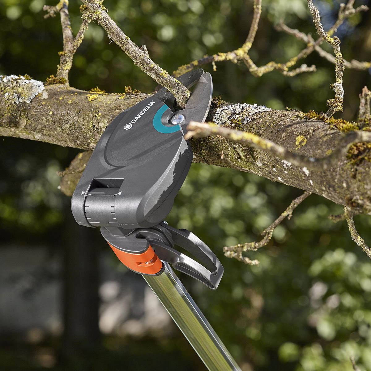 GARDENA Toppsaks StarCut 160 Plus er spesialisten på trebeskjæring. Med en lengde på 160 cm, kan du enkelt og sikkert beskjære med føttene godt plantet på jorden