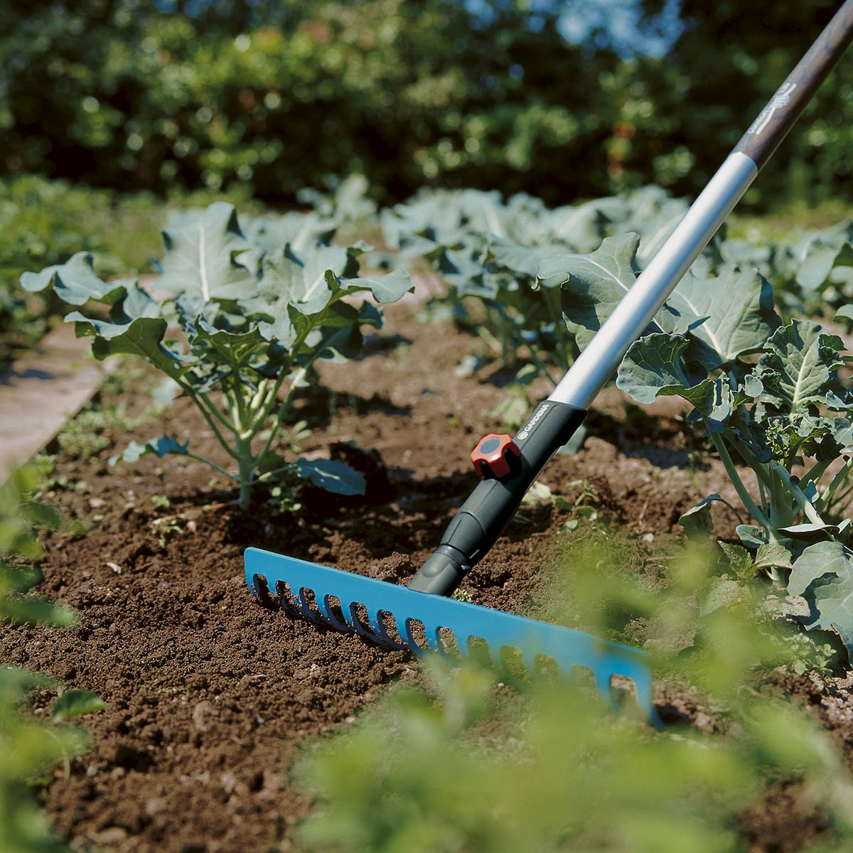 Jernrive med arbeidsbredde 36cm (14 tenner). Brukes til raking, planering og jordbearbeiding. Passer til alle GARDENA Combisystem-skaft