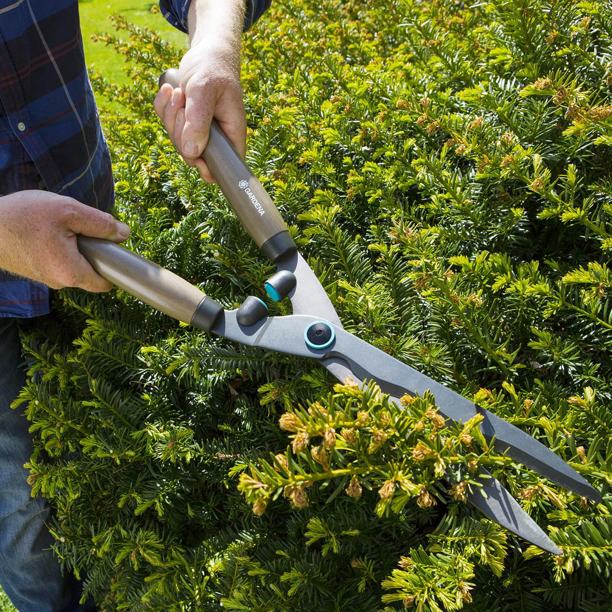 GARDENA Classic NatureCut hekksaks med bueslipede blad som er ergonomisk formede og med rundsymmetriske håndtak i bøktre