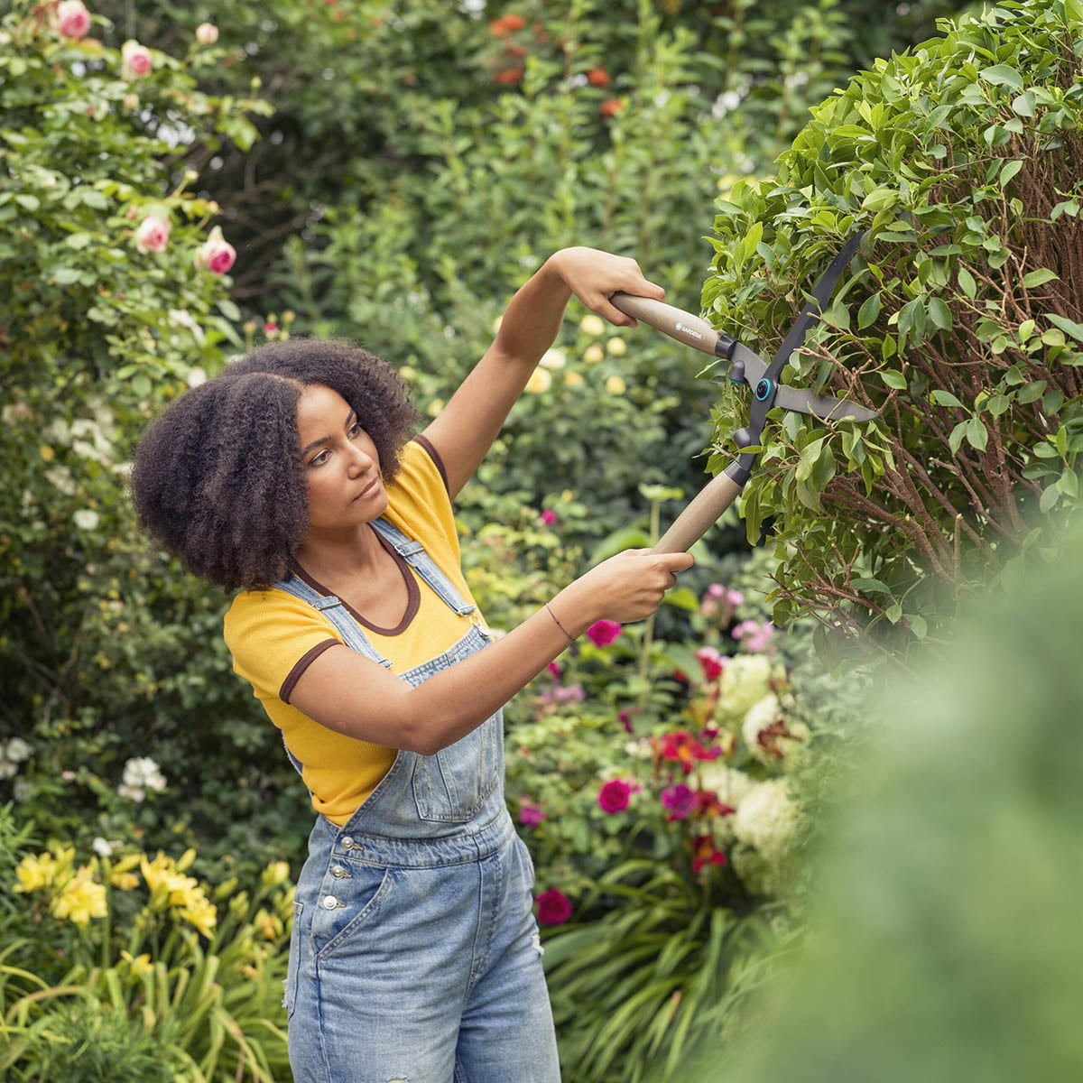 GARDENA Classic NatureCut hekksaks med bueslipede blad som er ergonomisk formede og med rundsymmetriske håndtak i bøktre