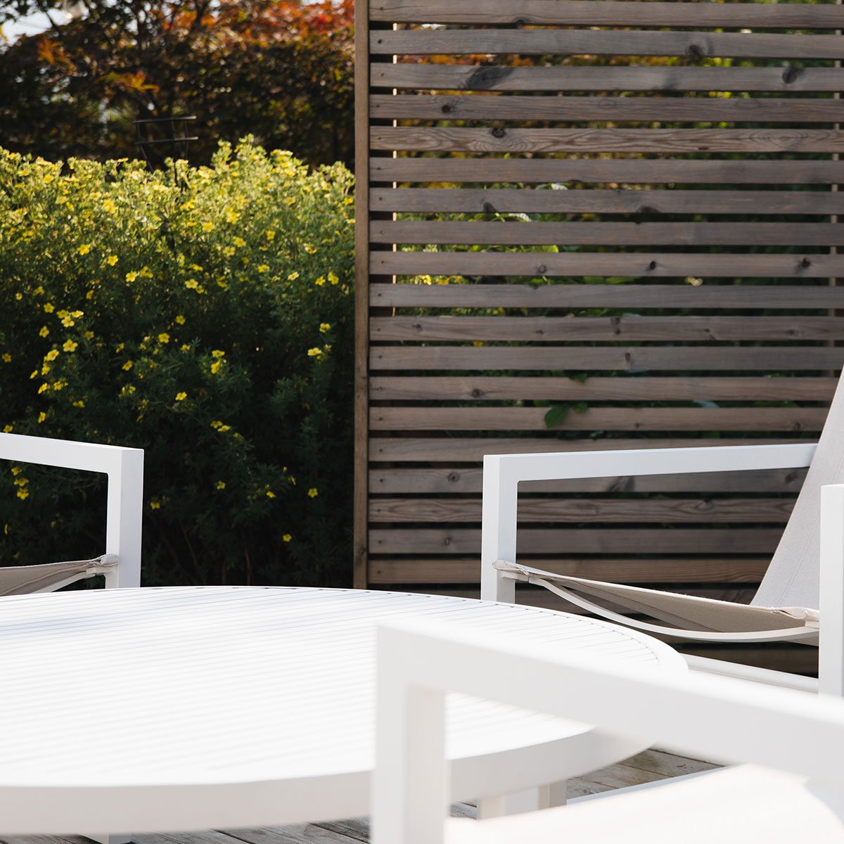 Kult rundt lavt bord i Vevi serien.