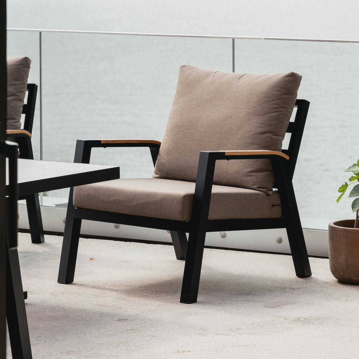 Kassandra 3+1+1 - Sort / Muskat / Teak Stol