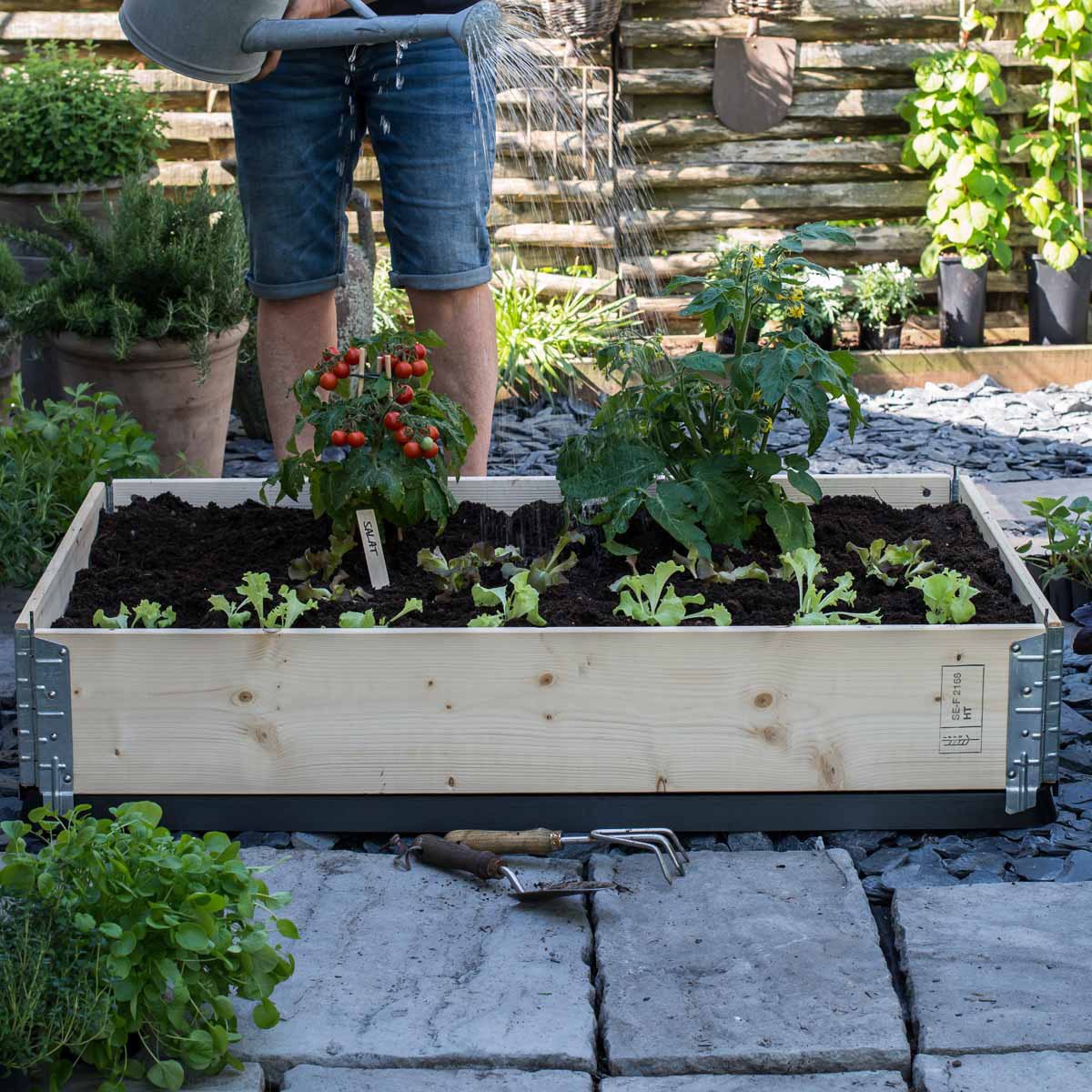 Pallekarm med plantet tomat