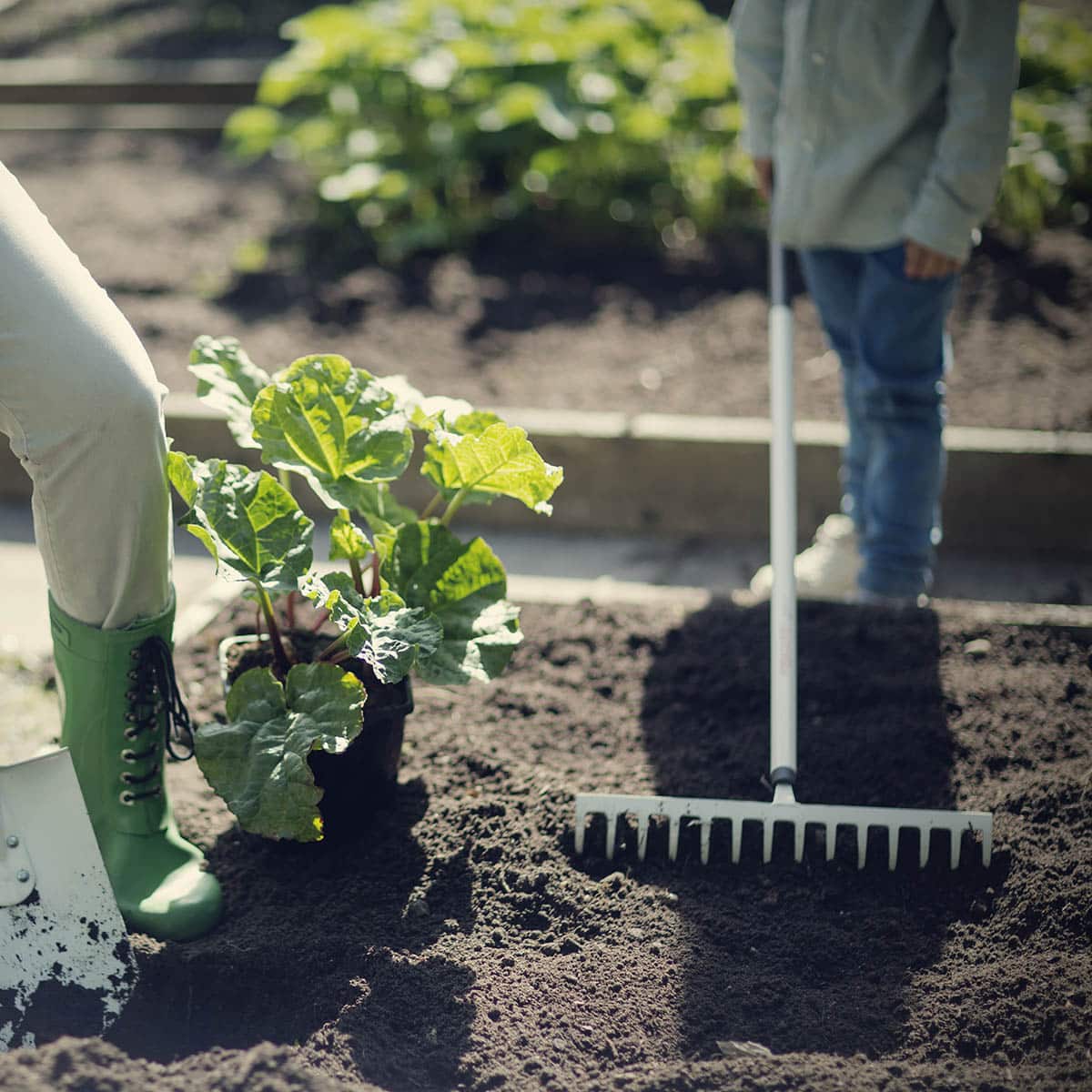 White Hagerive i stål for alle typer rakearbeid, i jord, sand og grus