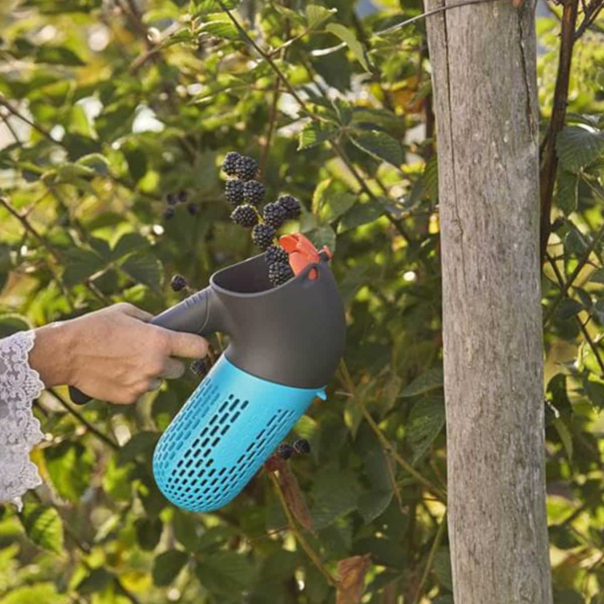 Med GARDENA combisystem bærplukker er det enkelt å samle frukt.