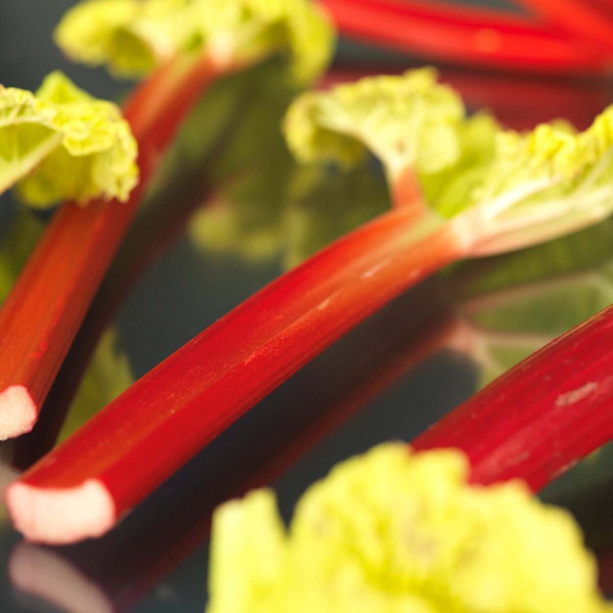 Kraftig røde rabarbrastilker
