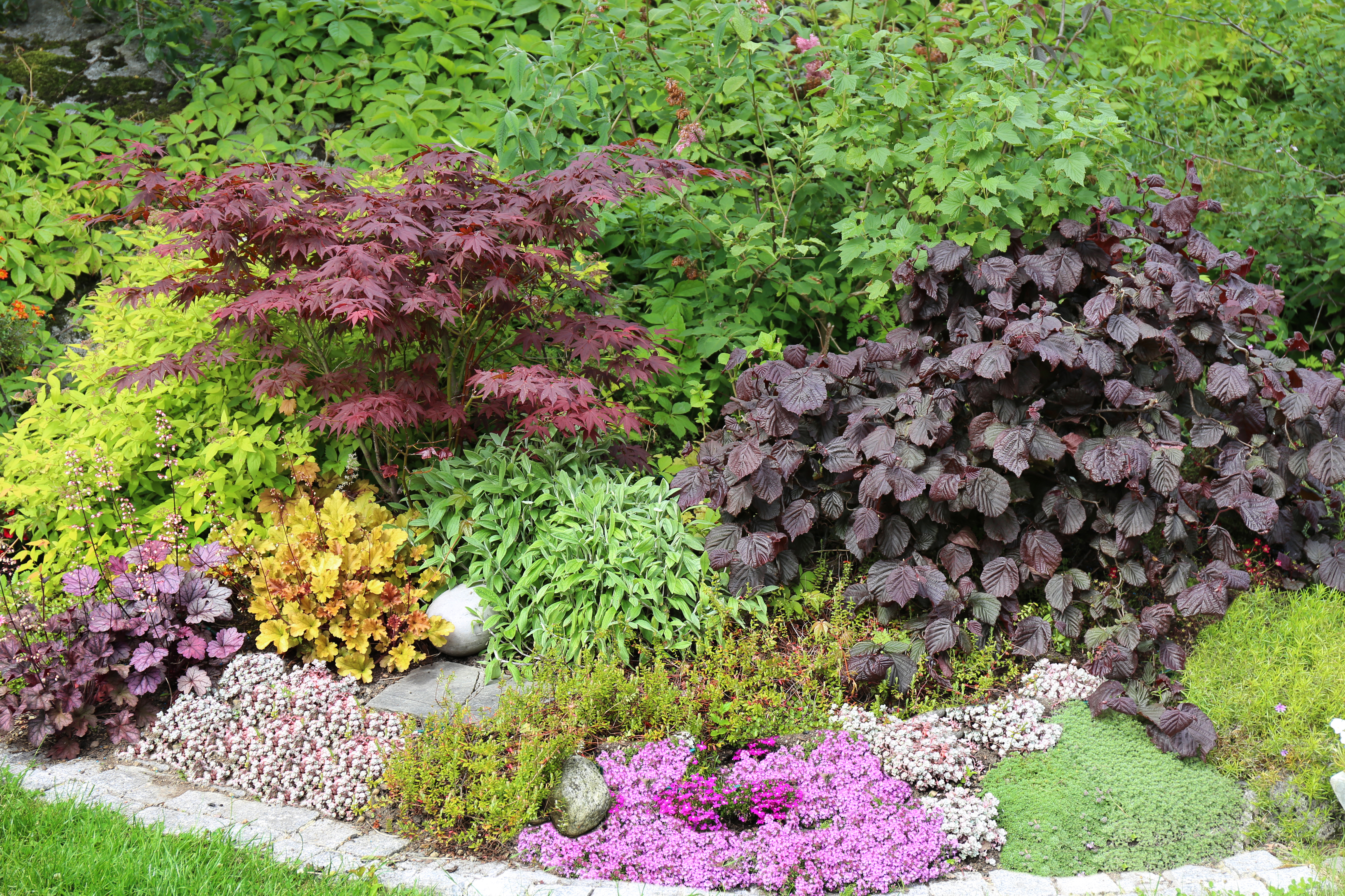 Hagebed