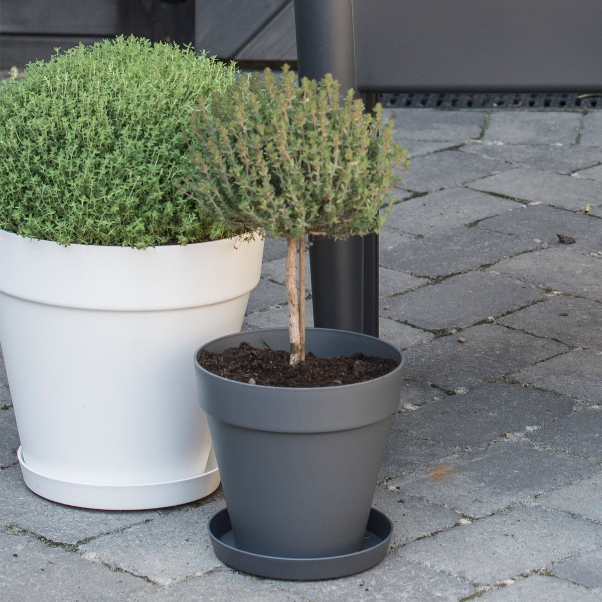 Tidløs potte i resirkulert plast. Dobbel bunn for god drennering.