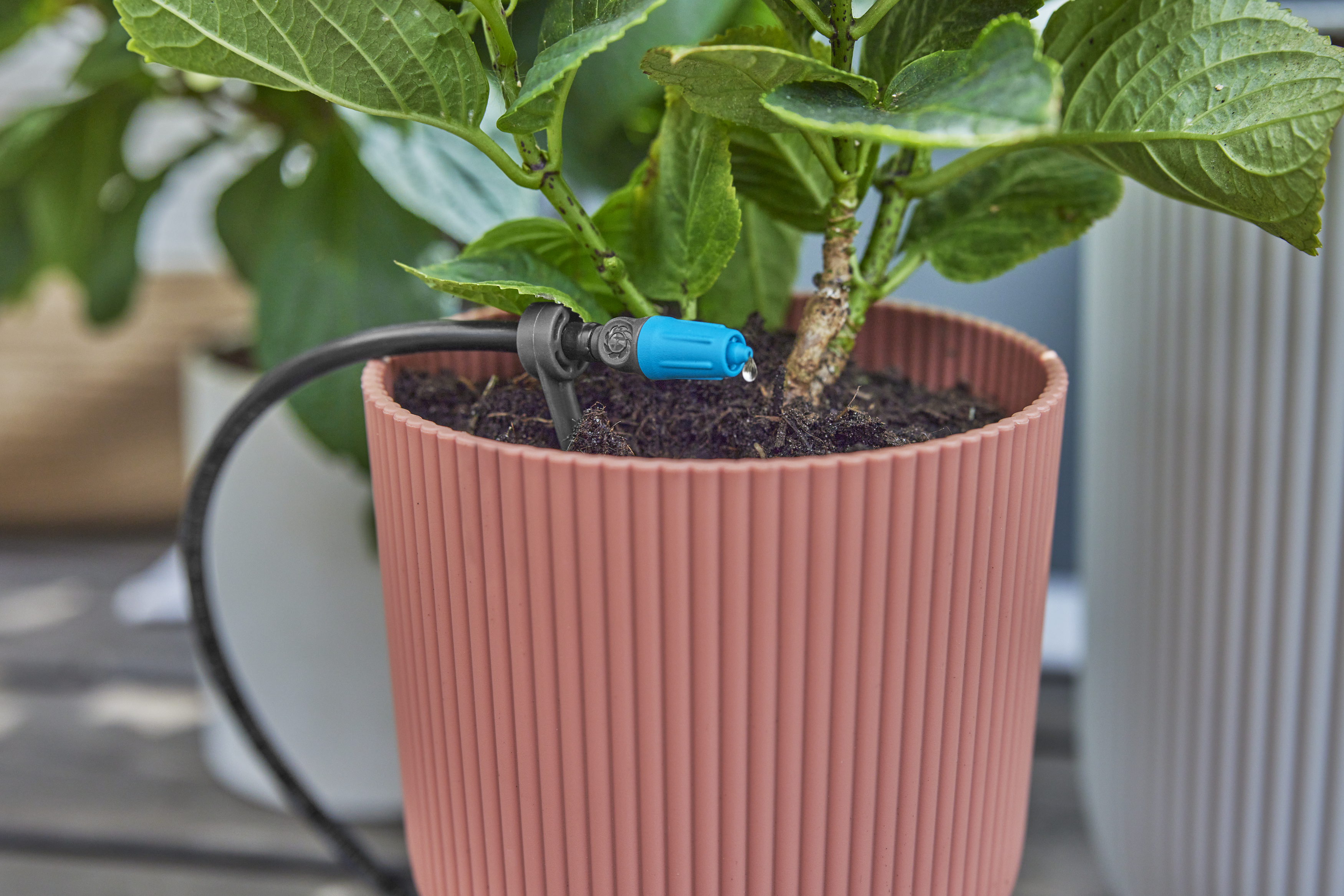 Gardena Micro Drip selvvanning