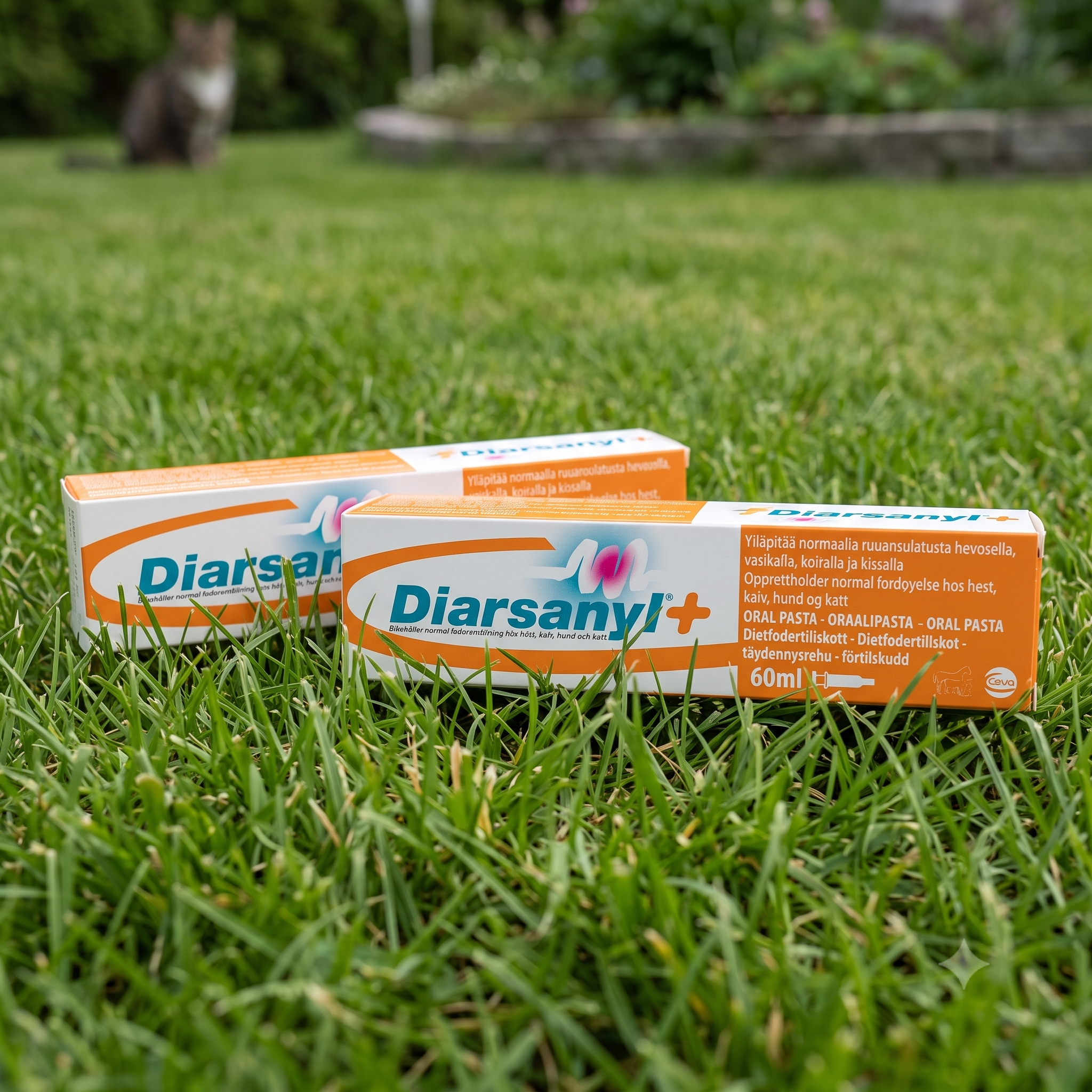 Diarsanyl + pasta 60 ml 2 stykker