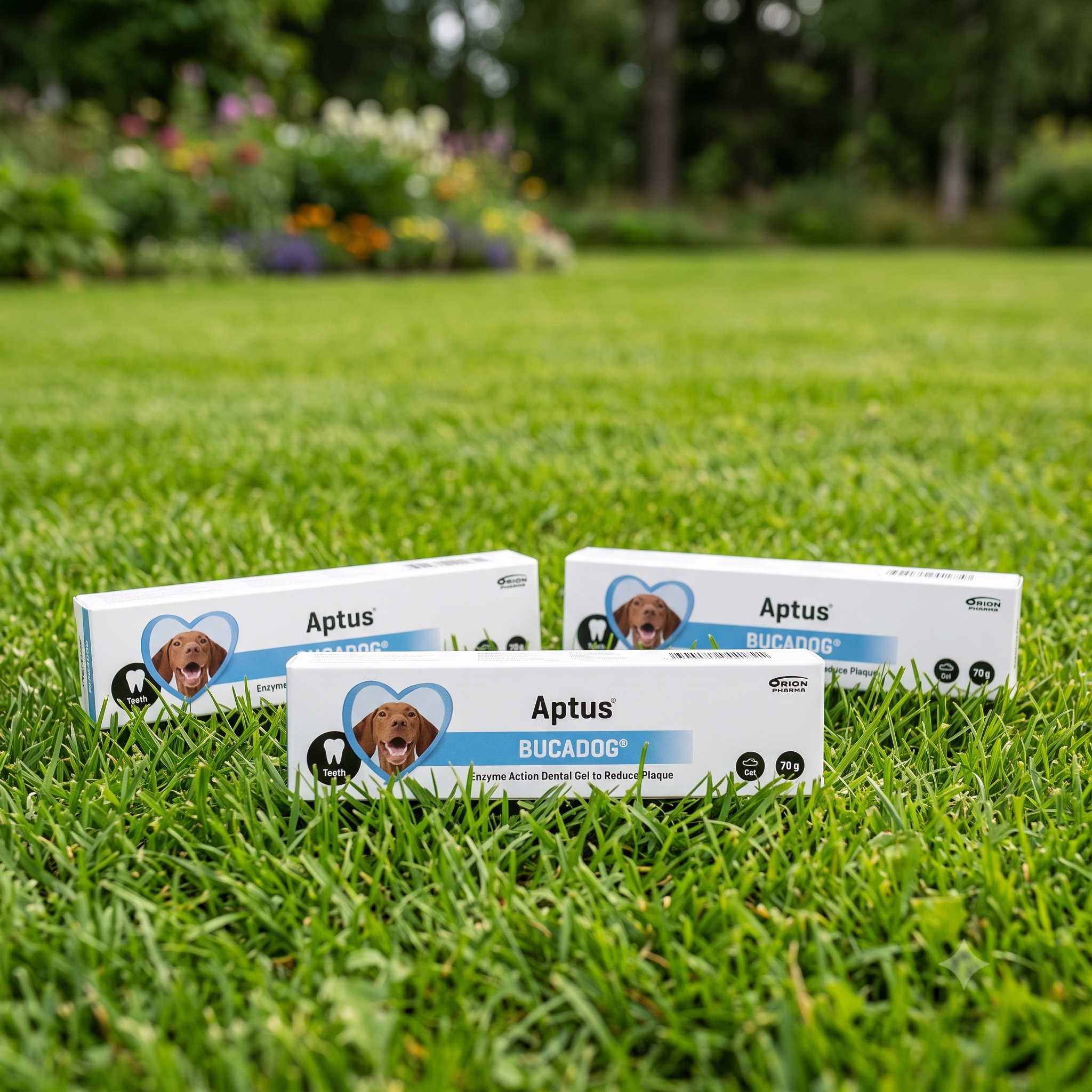 Aptus Bucadog oralgel til hund 70 g 3 stykker