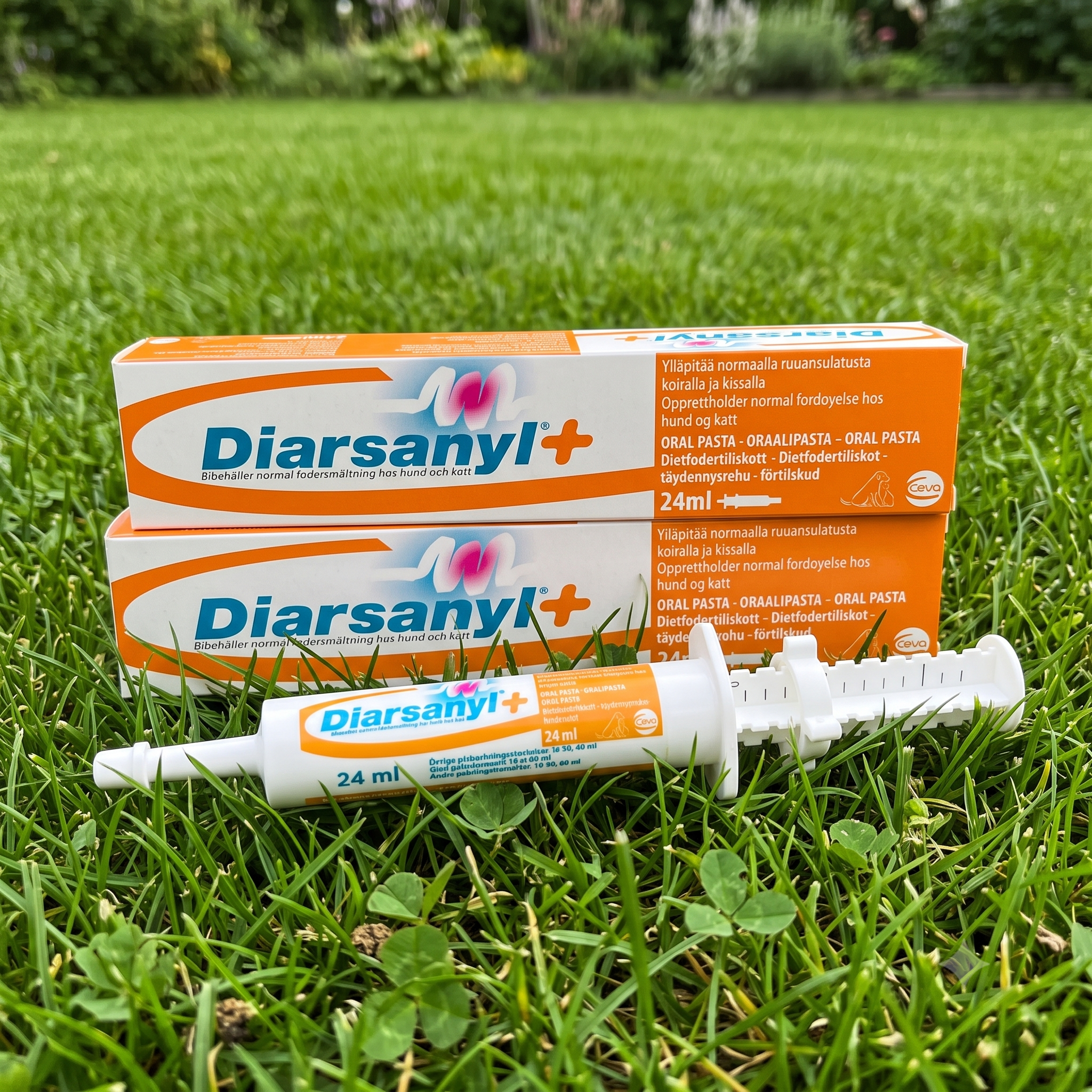 Diarsanyl+ pasta 24 ml 2 stykker