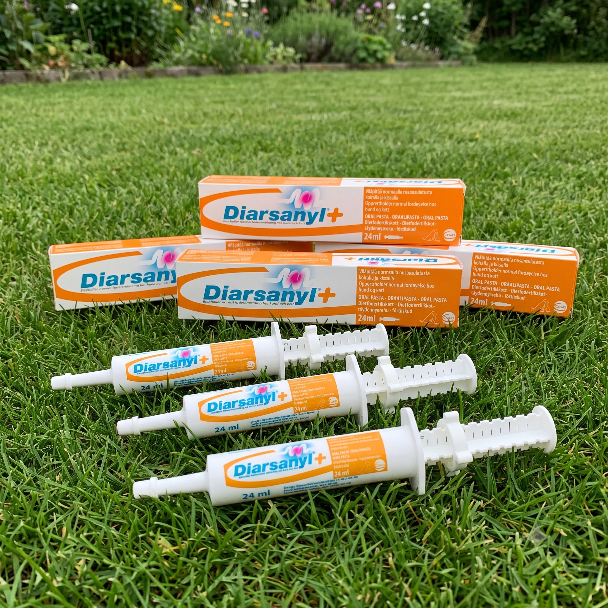 Diarsanyl+ pasta 24 ml 3 stykker
