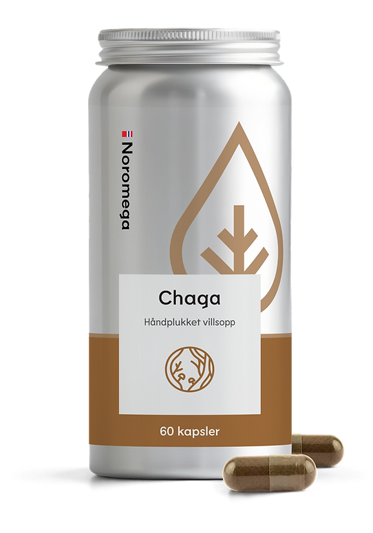 Noromega Chaga Villsopp 60 kapsler