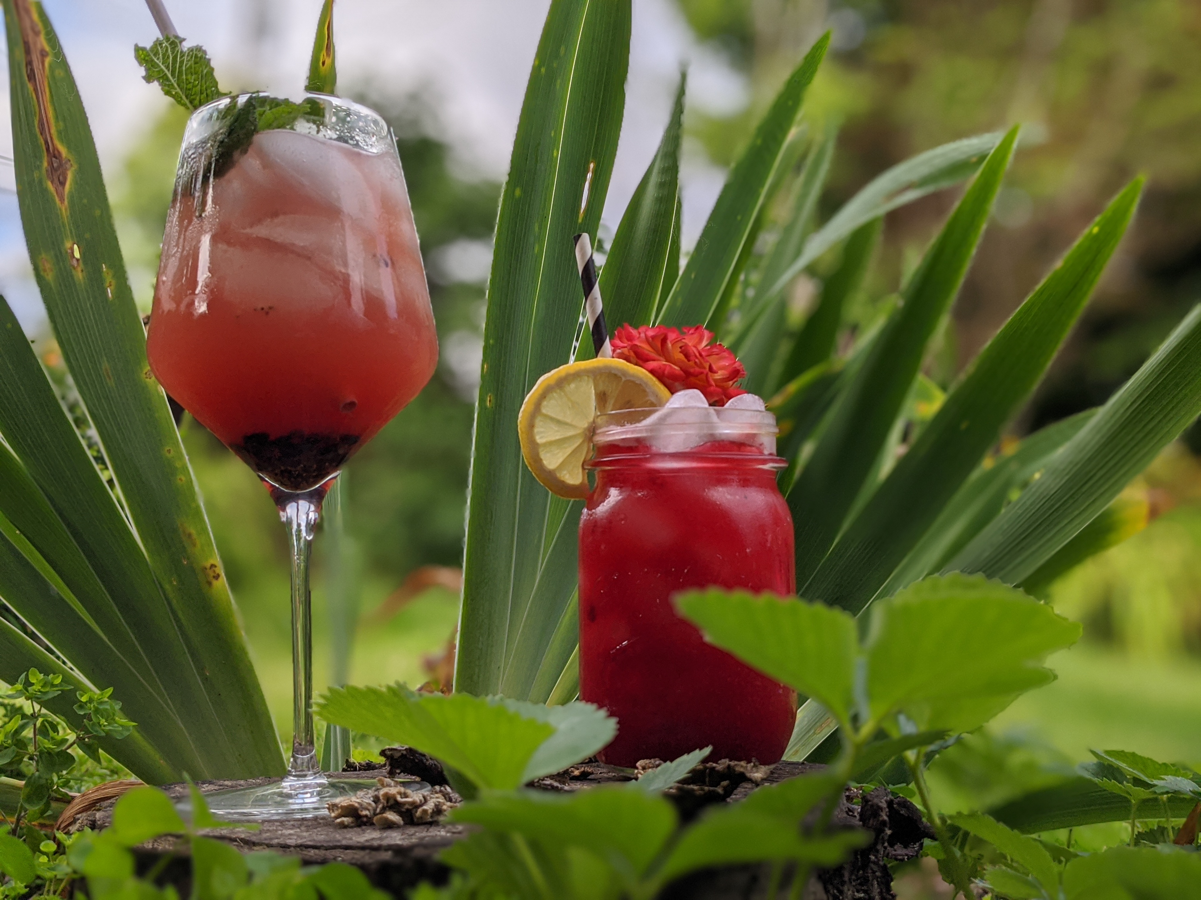 Bi-monthly Cocktail Kit