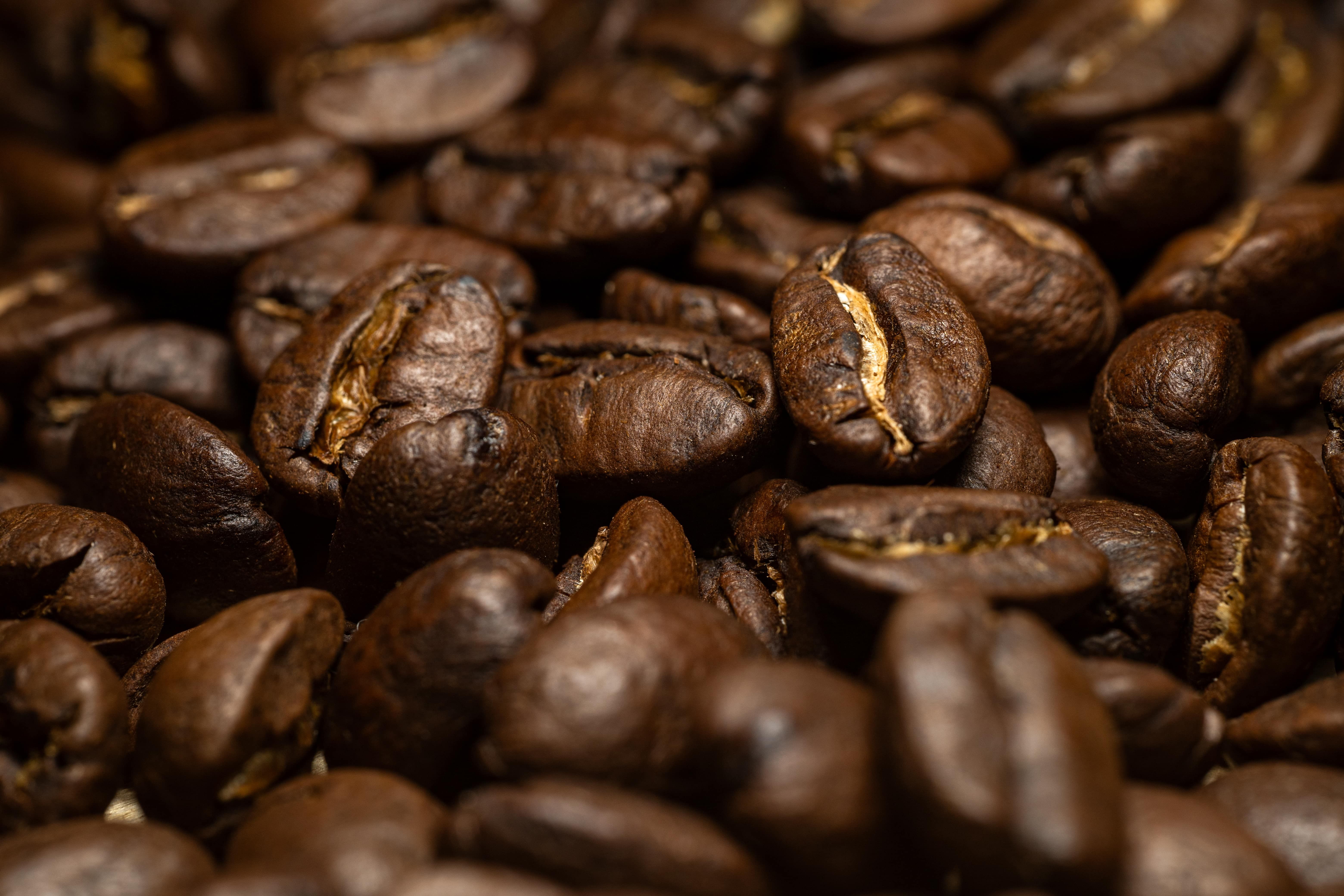 Organic Colombia Tolima Regenerative