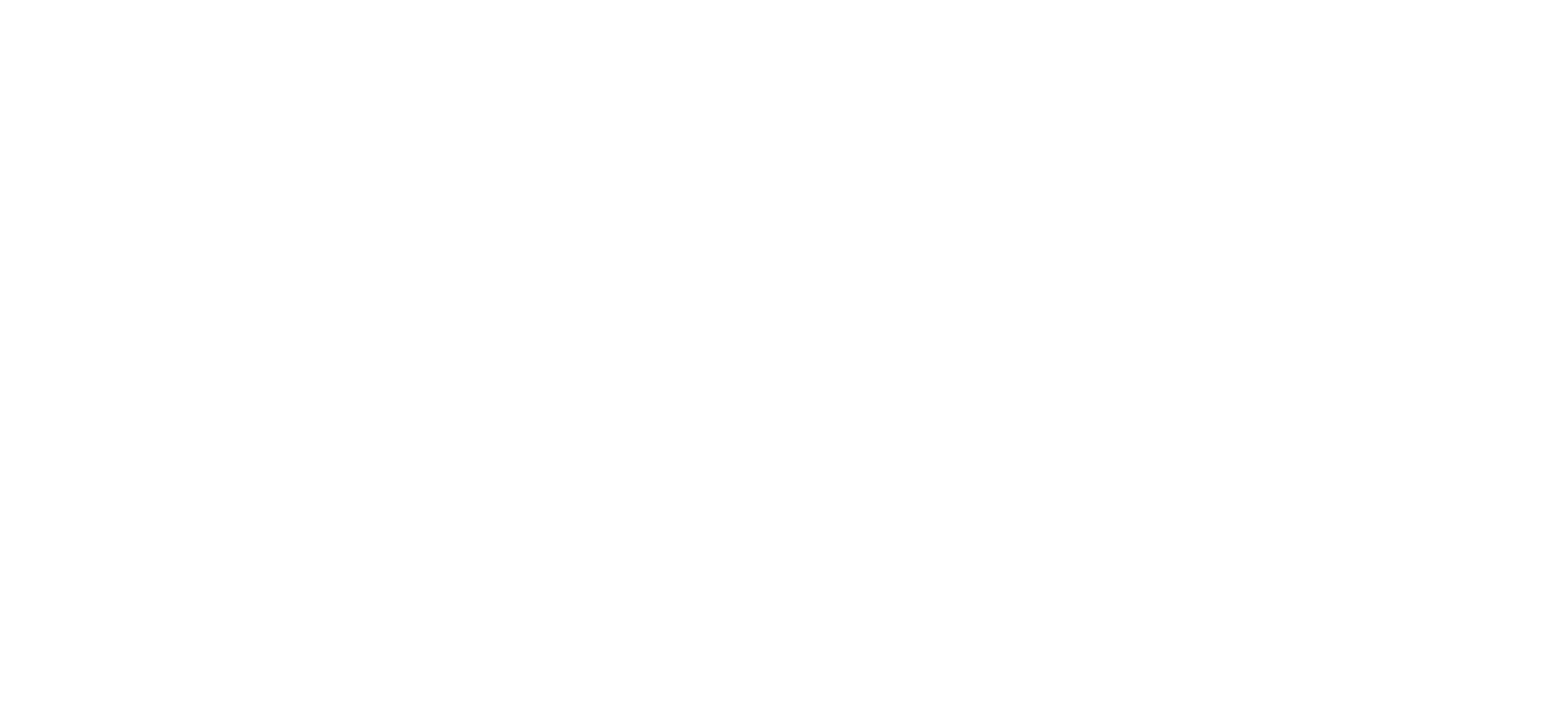 RæderBing logo i hvit