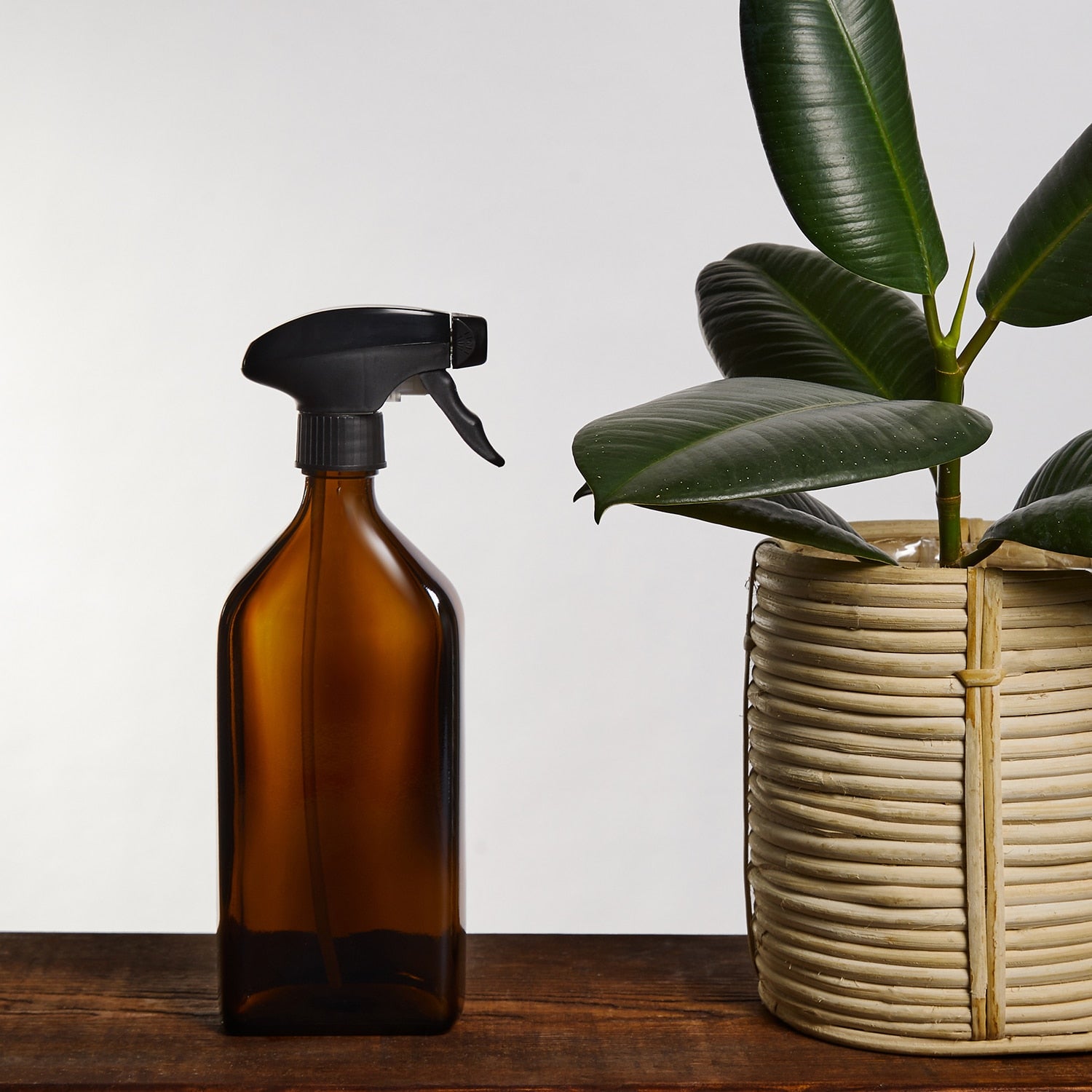 Plant Spray Bottle