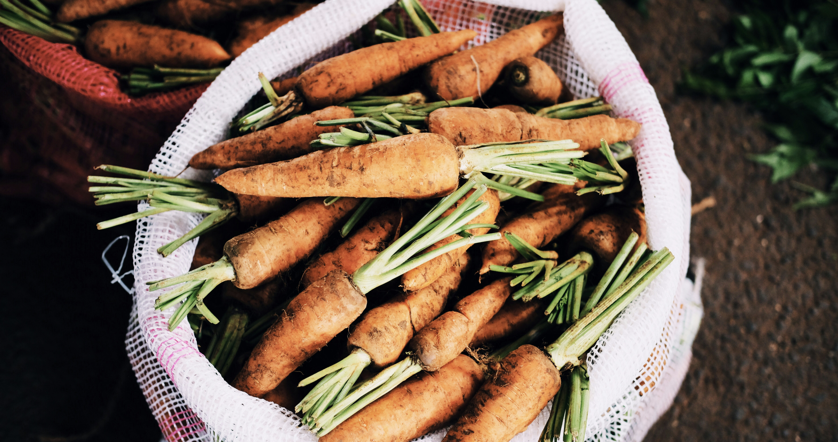 Gulrøtter 0,5 kgs pakke