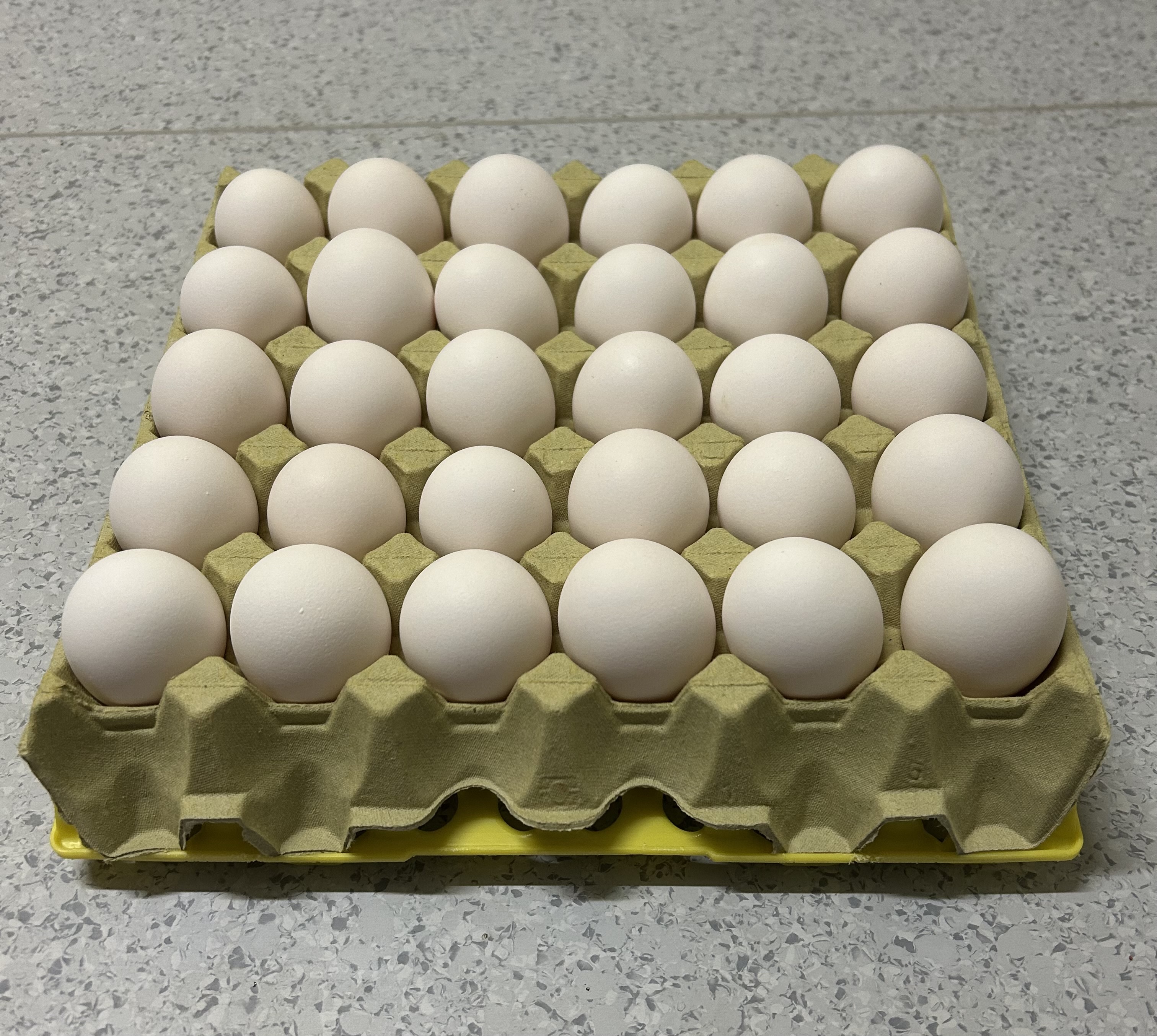30 standard økologiske egg på brett