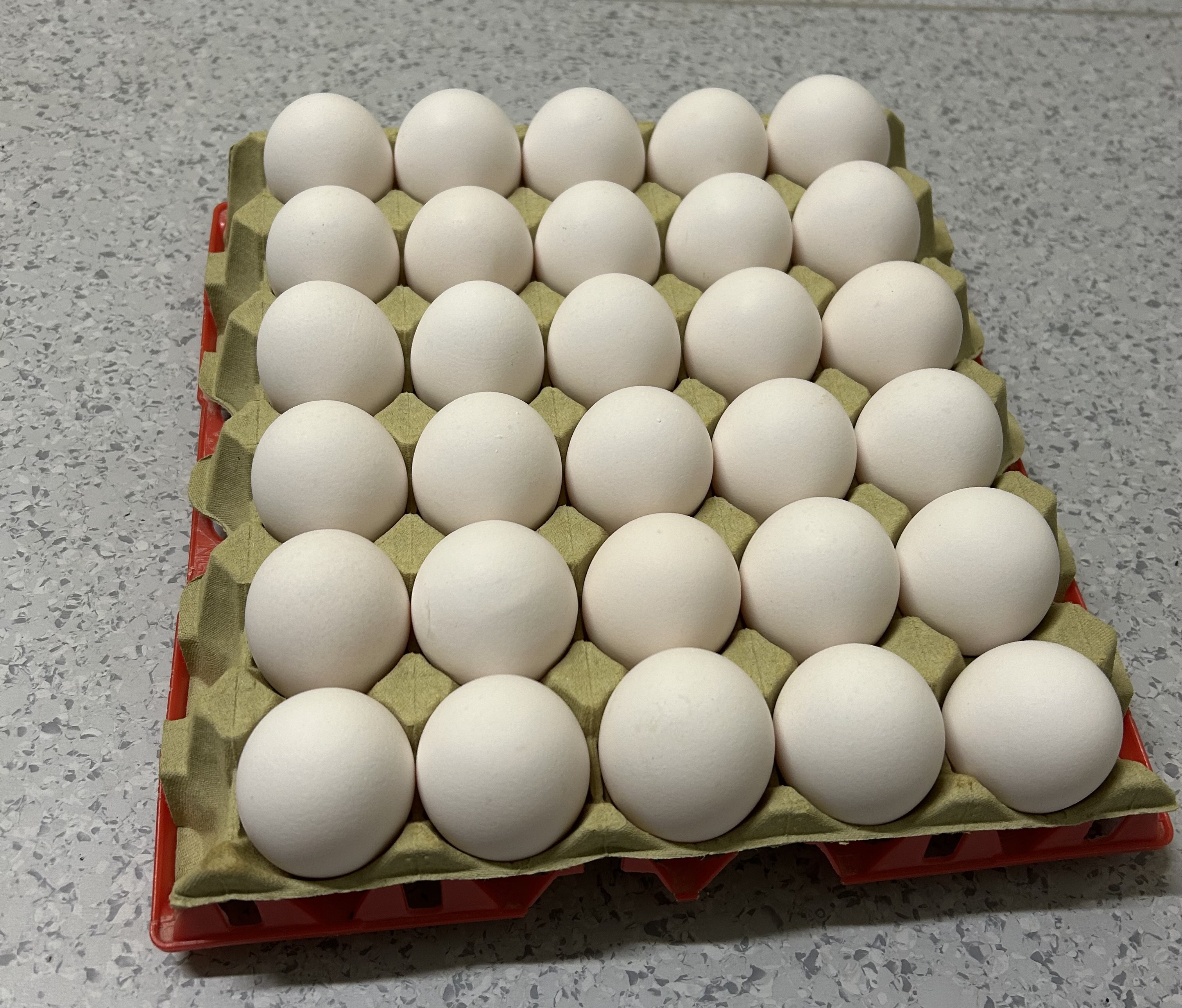 30 XL økologiske egg på brett