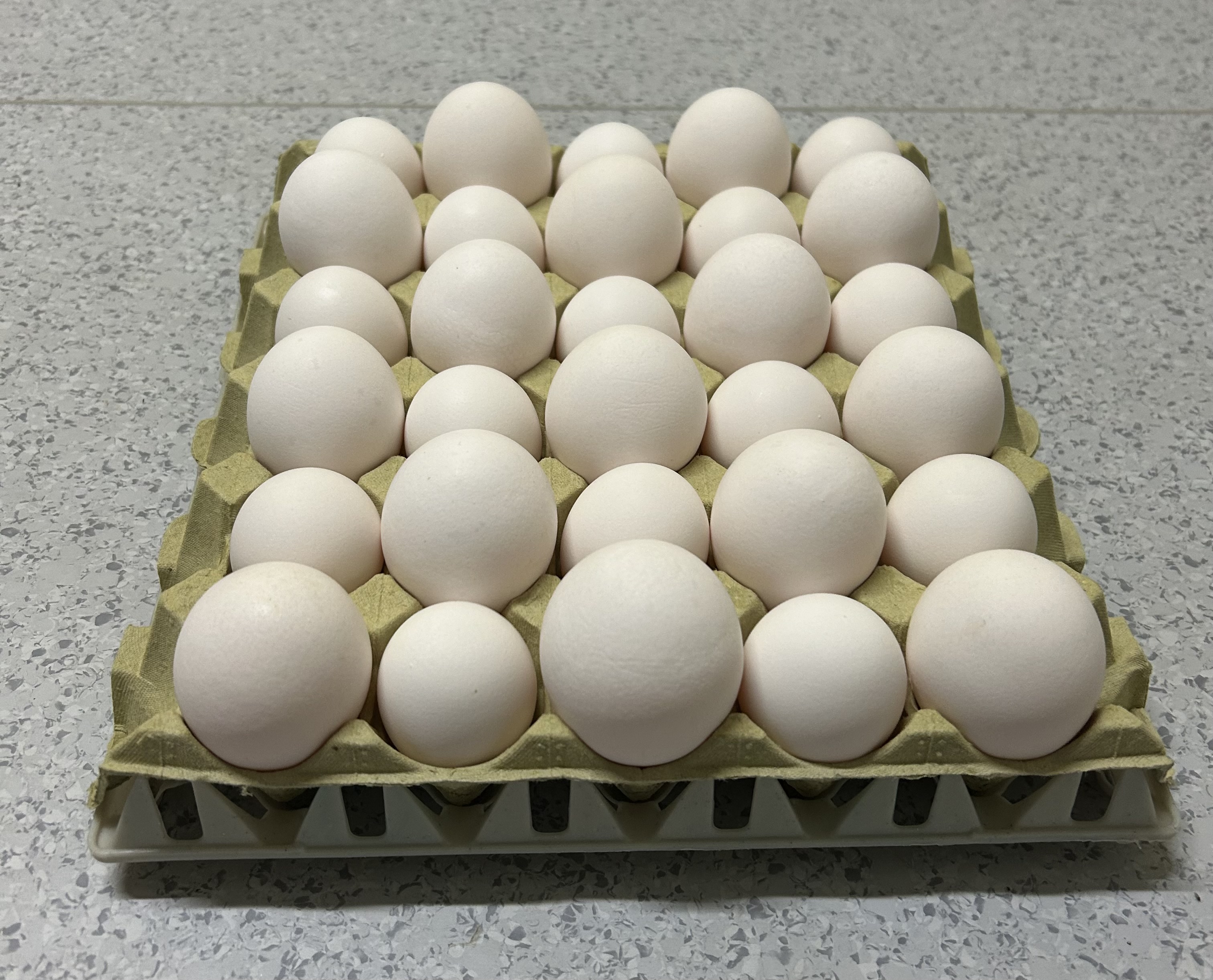 15 økologiske standard egg + 15 økologiske XXL egg på brett