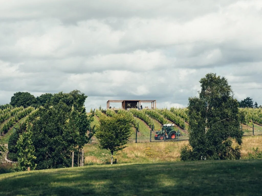 Gallery image 5