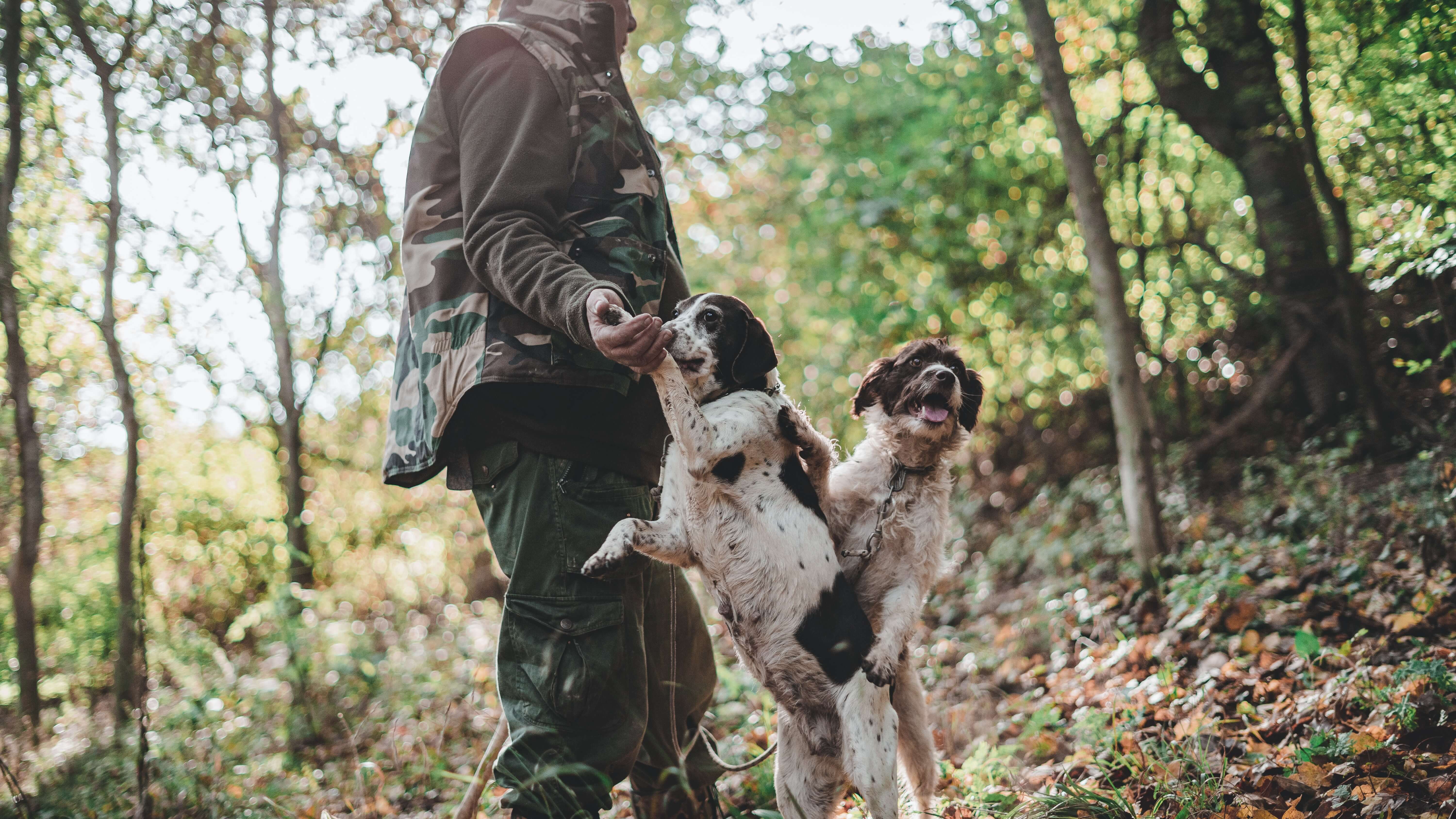 Gallery image 1