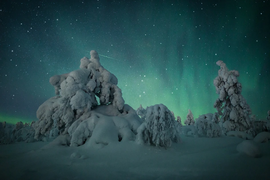 Arctic Nook