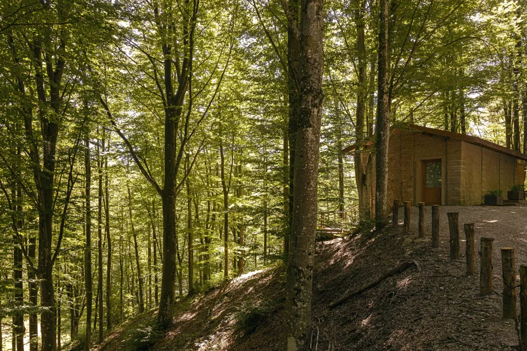 Loft in the Forest