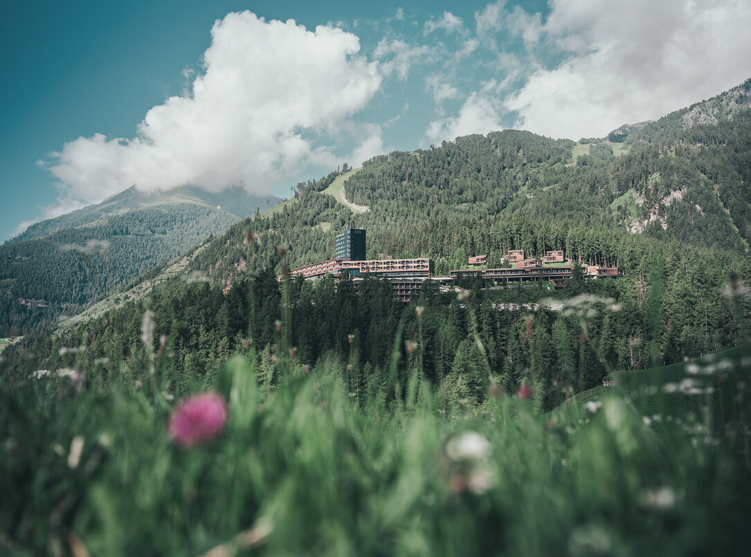 Hotel image 10