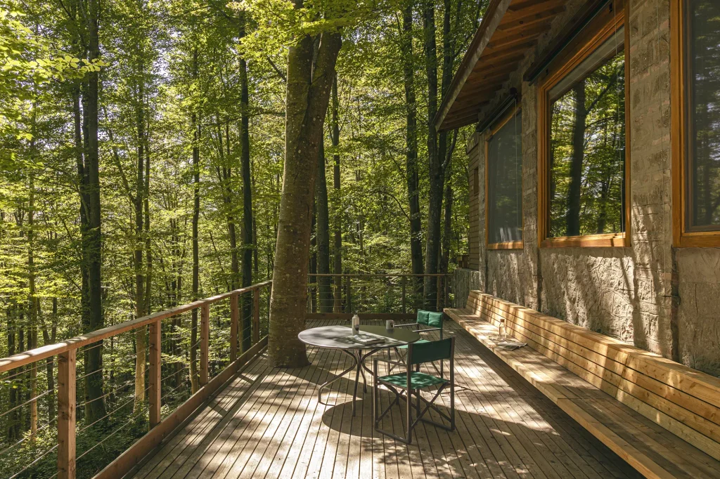 Loft in the Forest