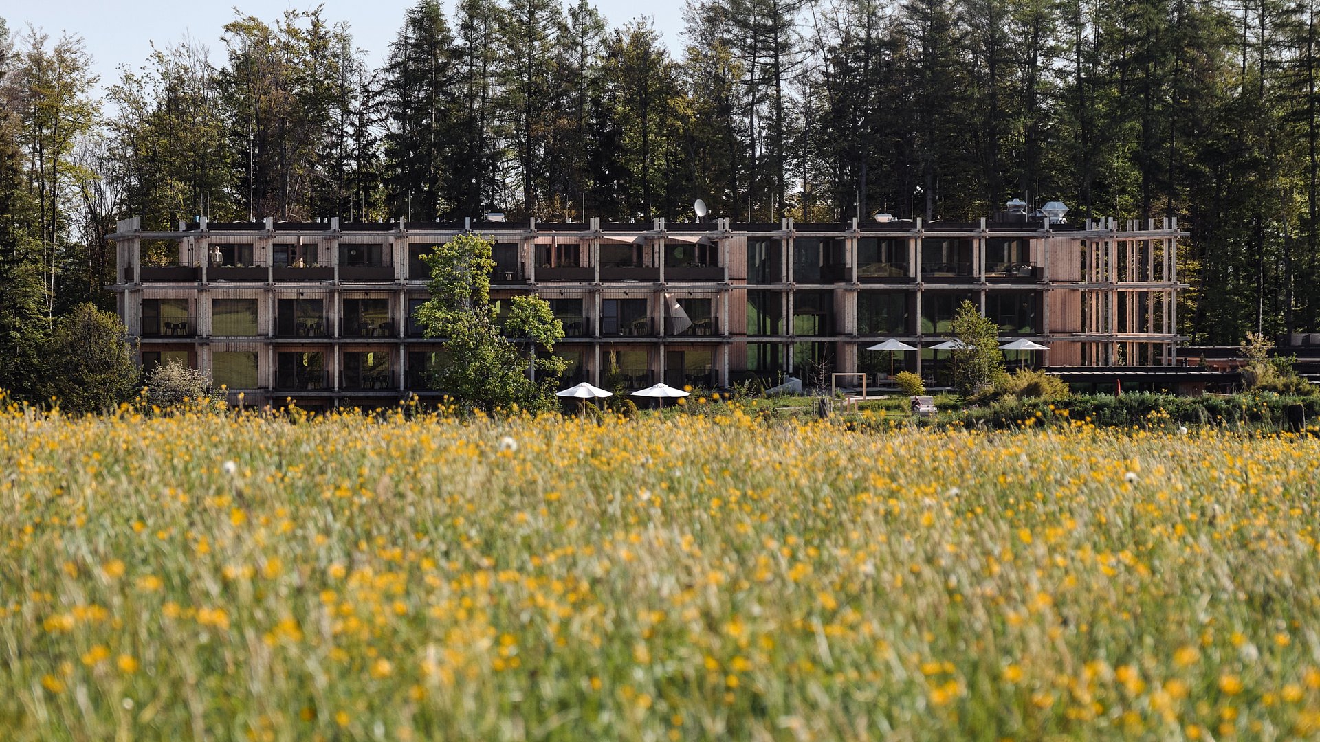 Hotel image 2