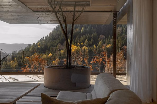 Design Loft