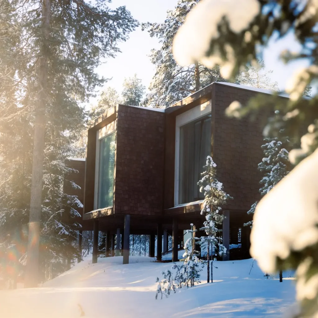 Arctic TreeHouse Suite